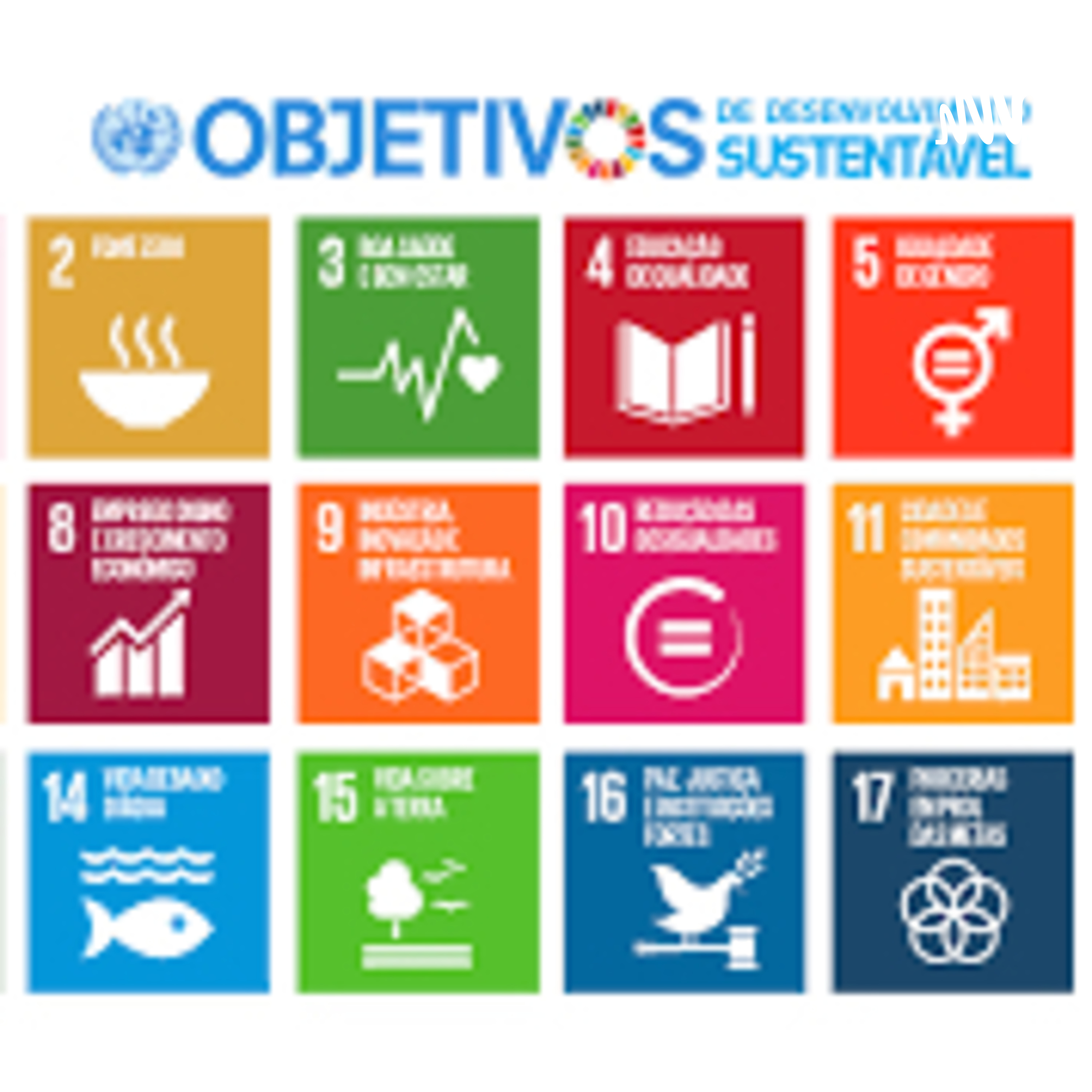 OBJETIVOS DE DESENVOLVIMENTO SUSTENTÁVEL 2030