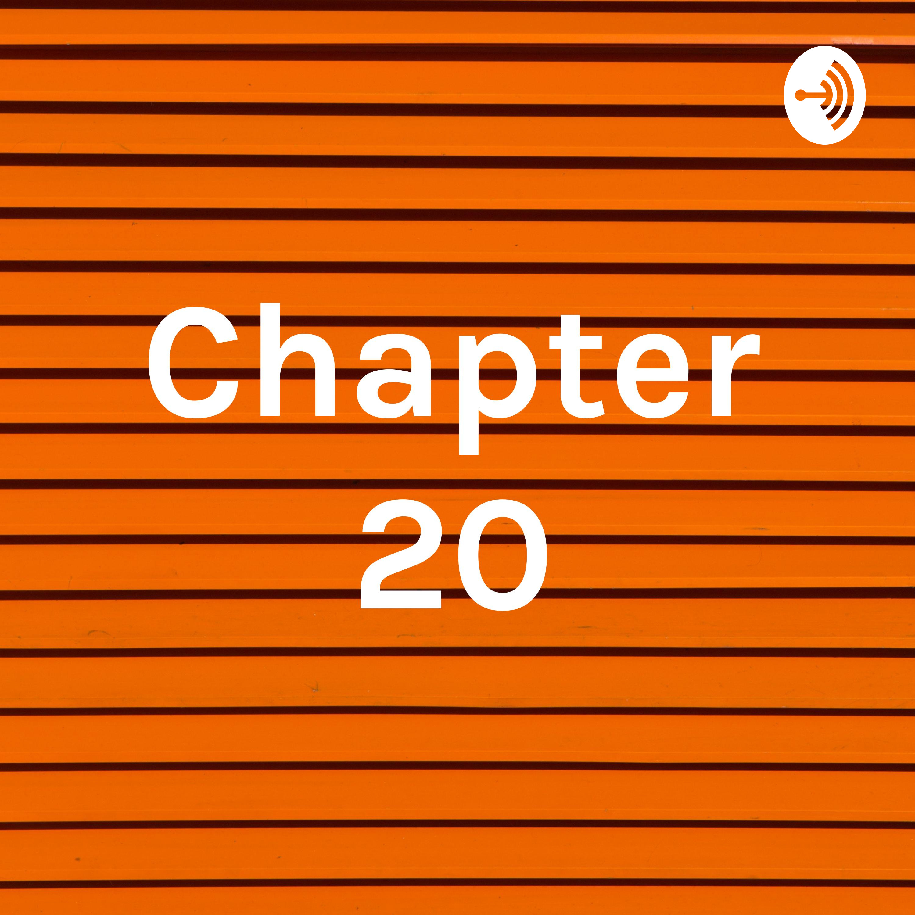 Chapter 20
