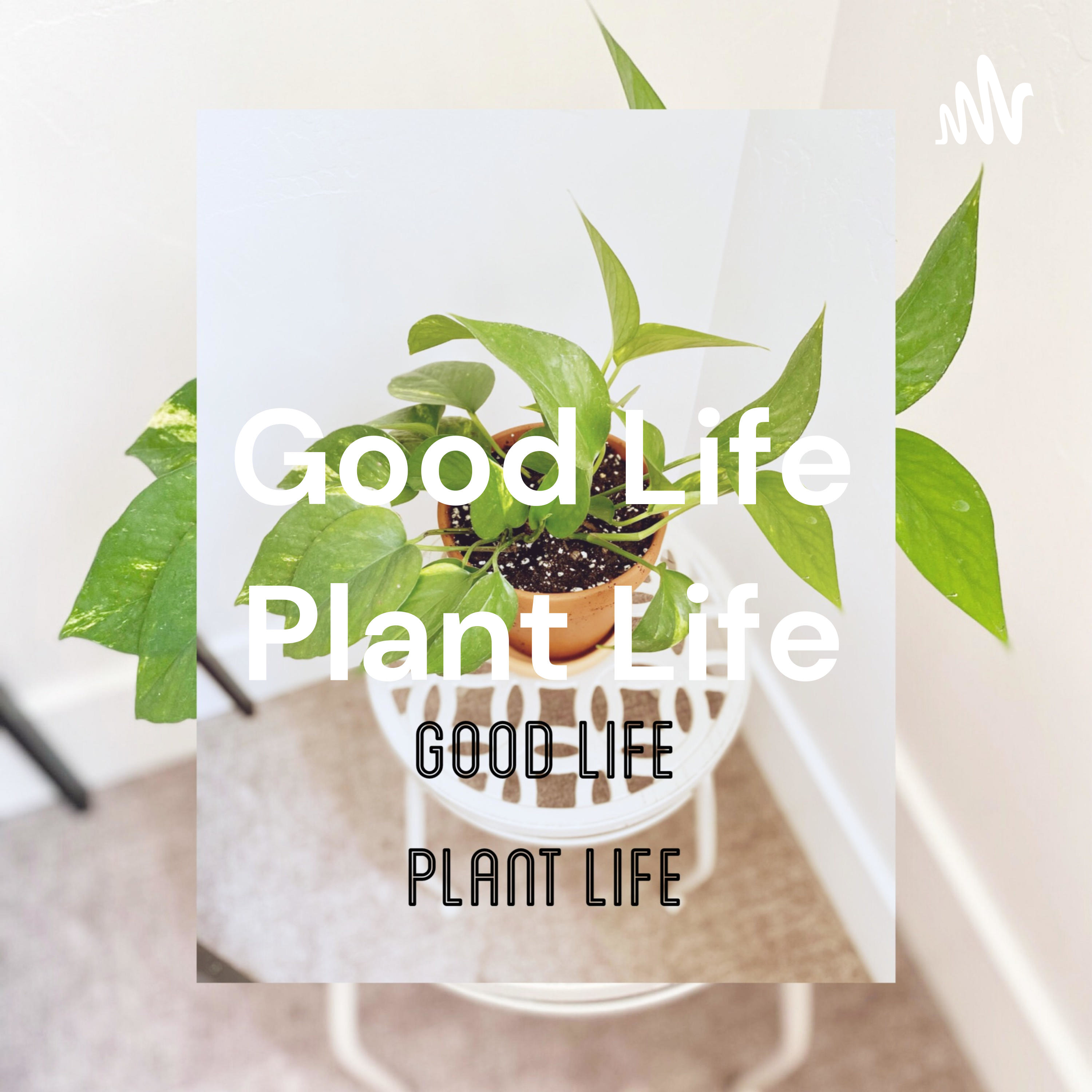 Good Life Plant Life: Introduction