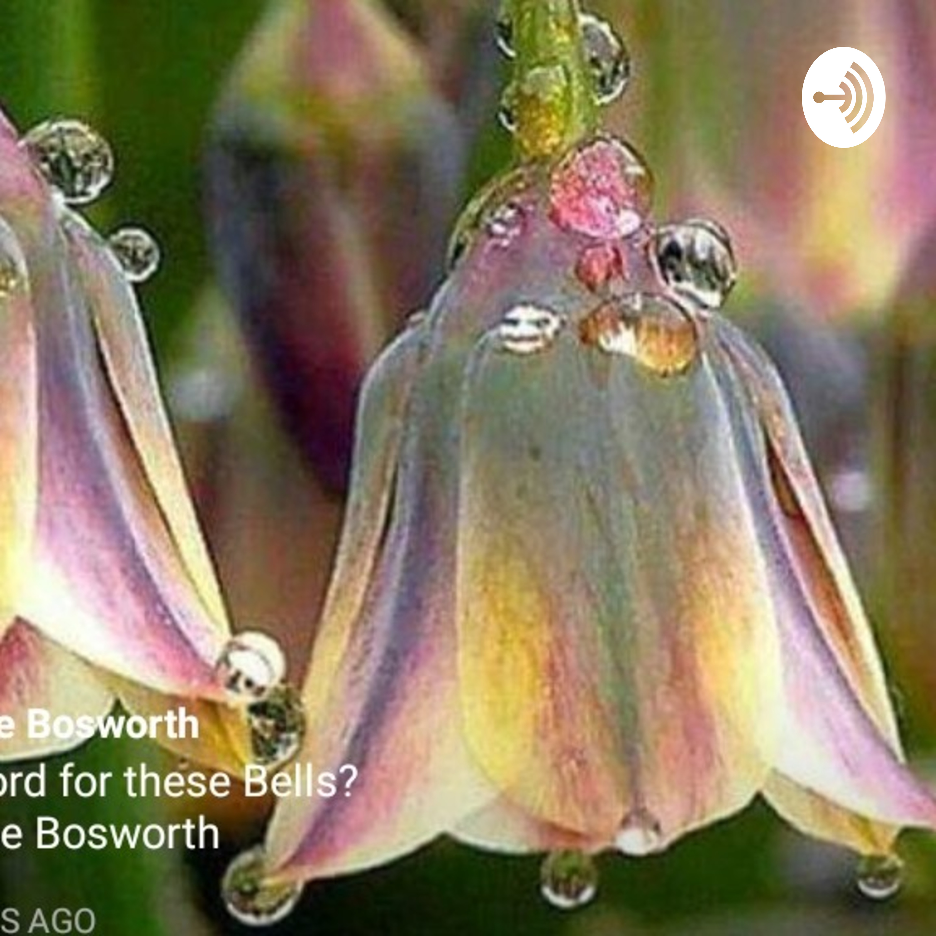 Natturally Case in Point