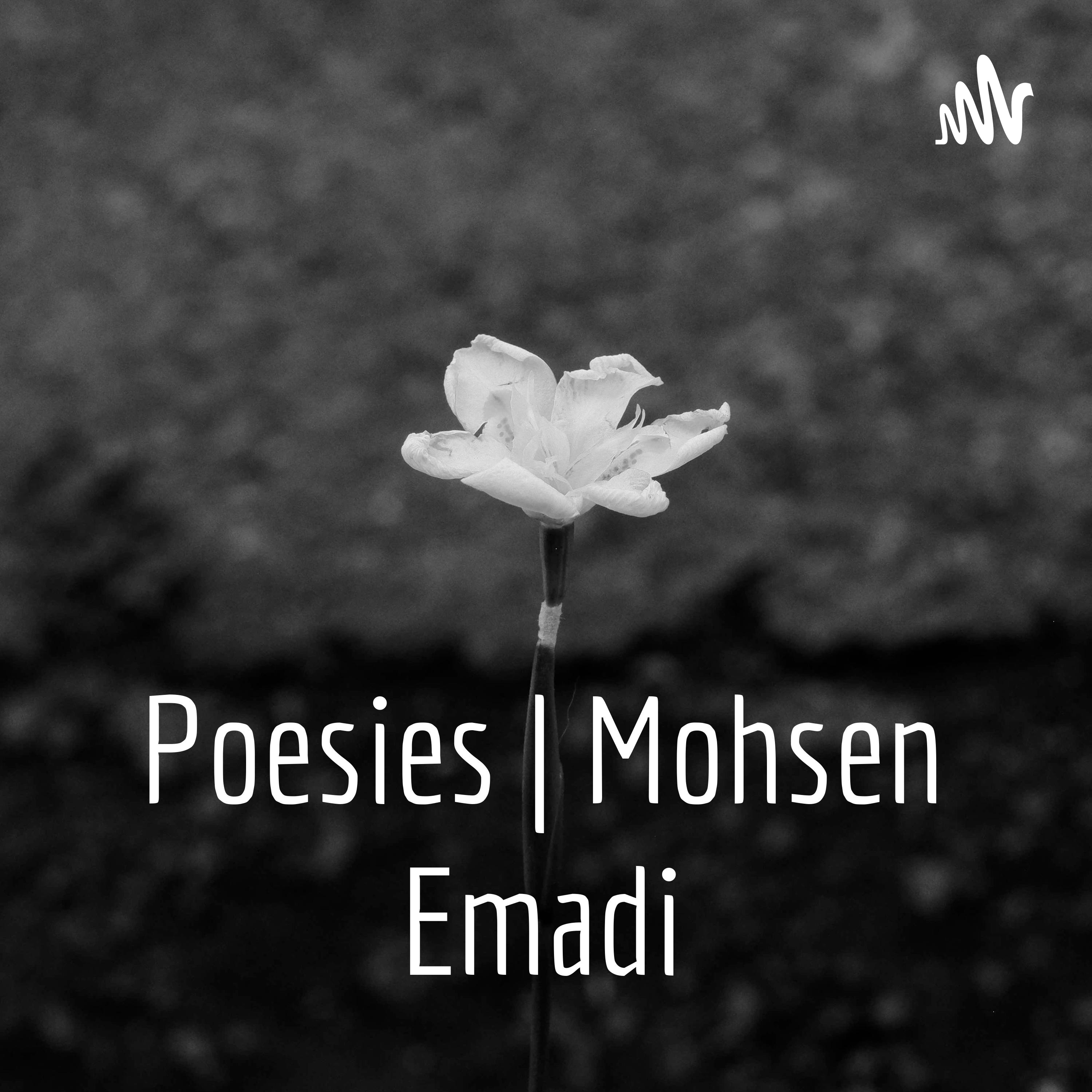 کاور A Burning Metaphor | Mohsen Emadi's Personal Podcast