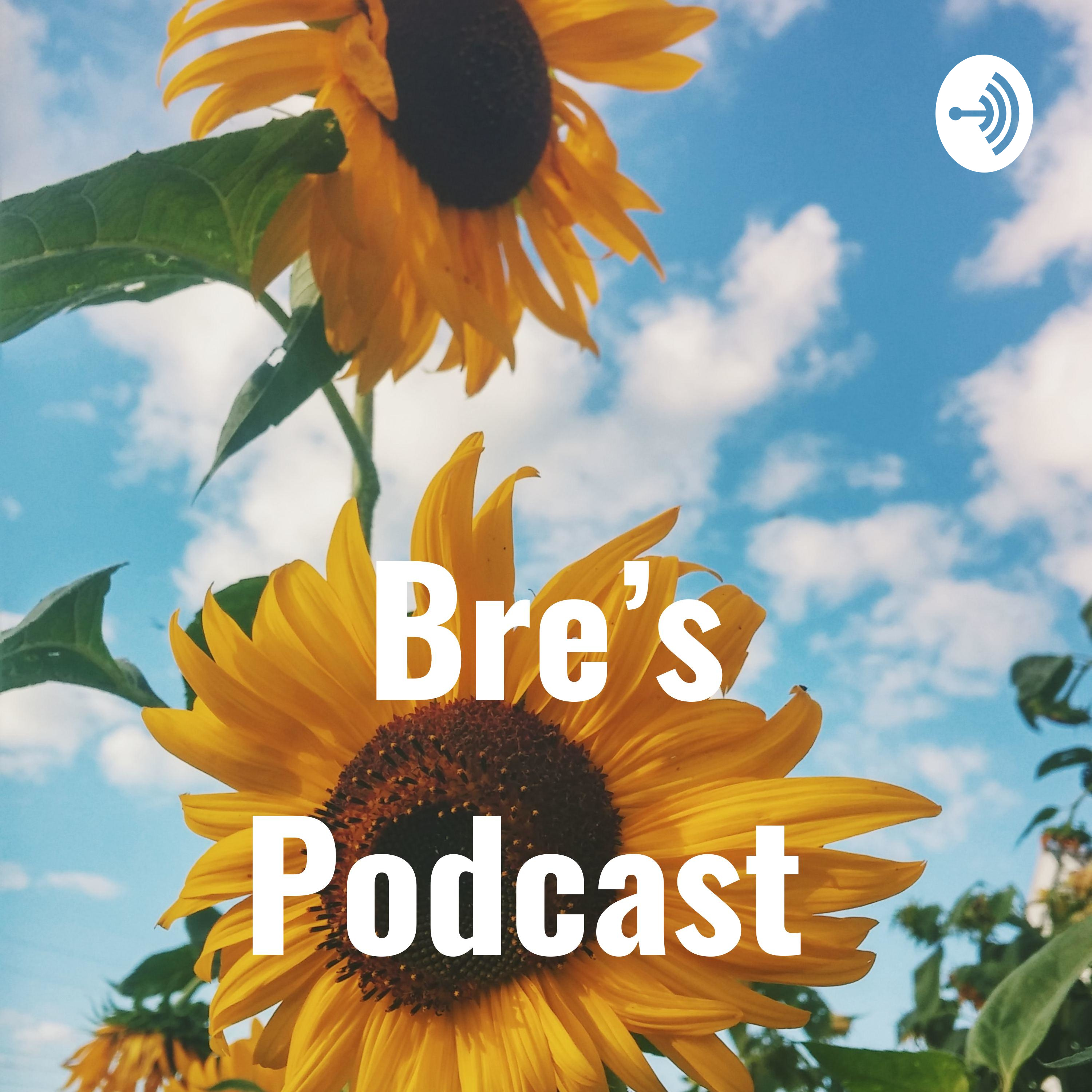 Bre’s Podcast 