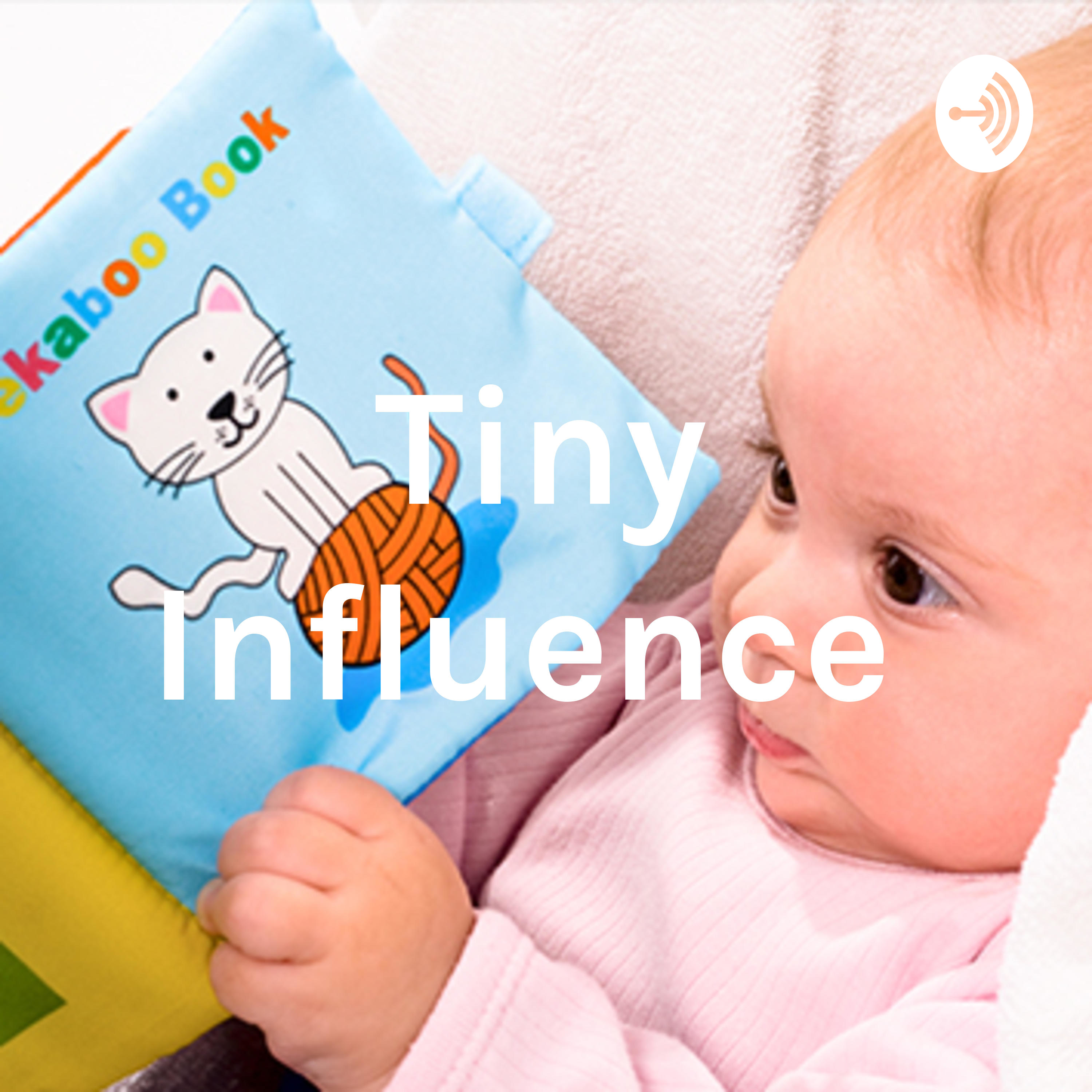 Tiny Influence 