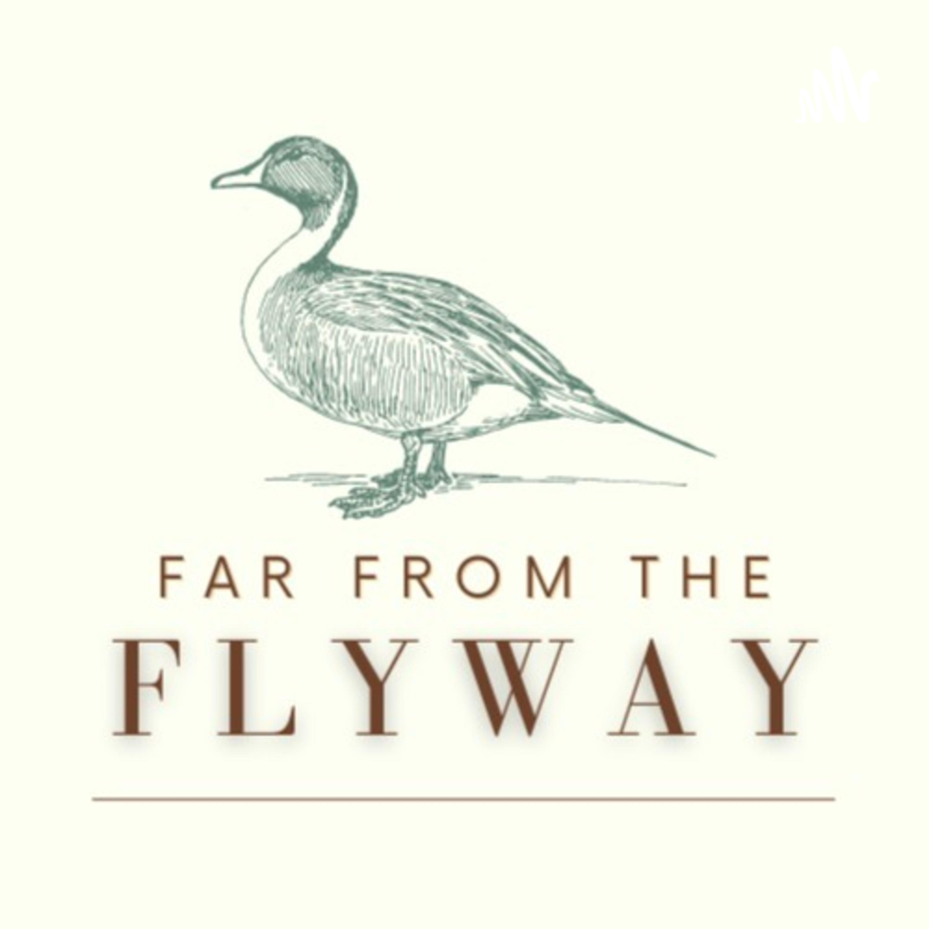 Far From The Flyway