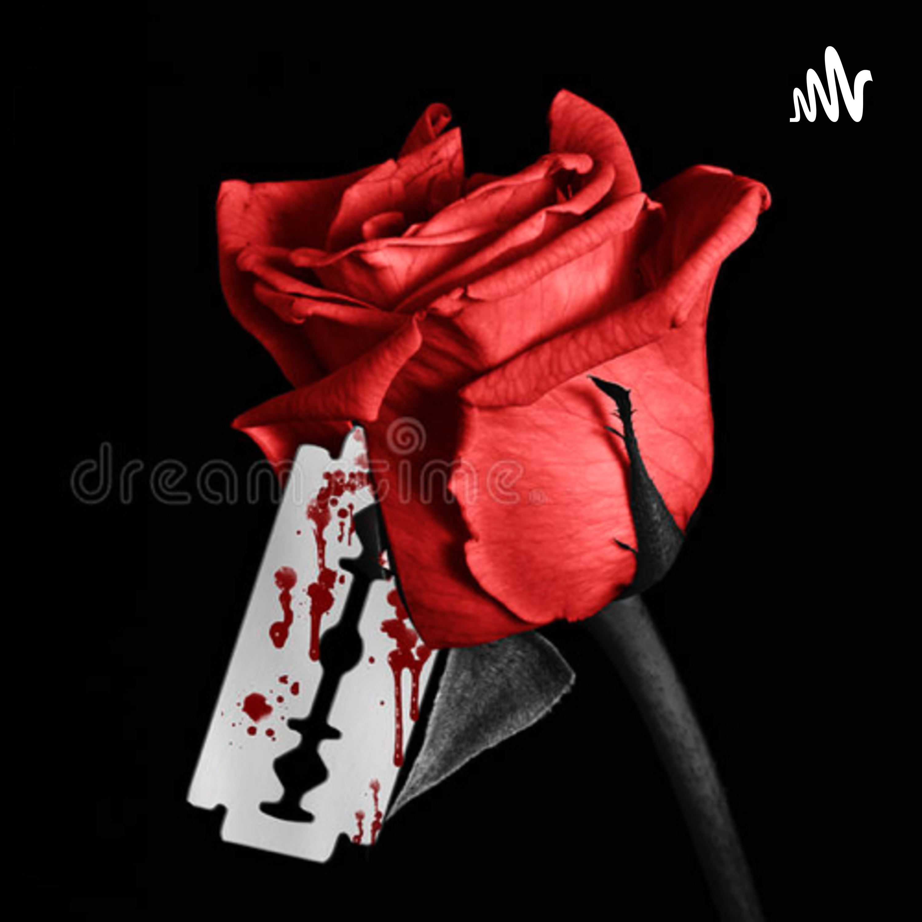 Scarlet rose