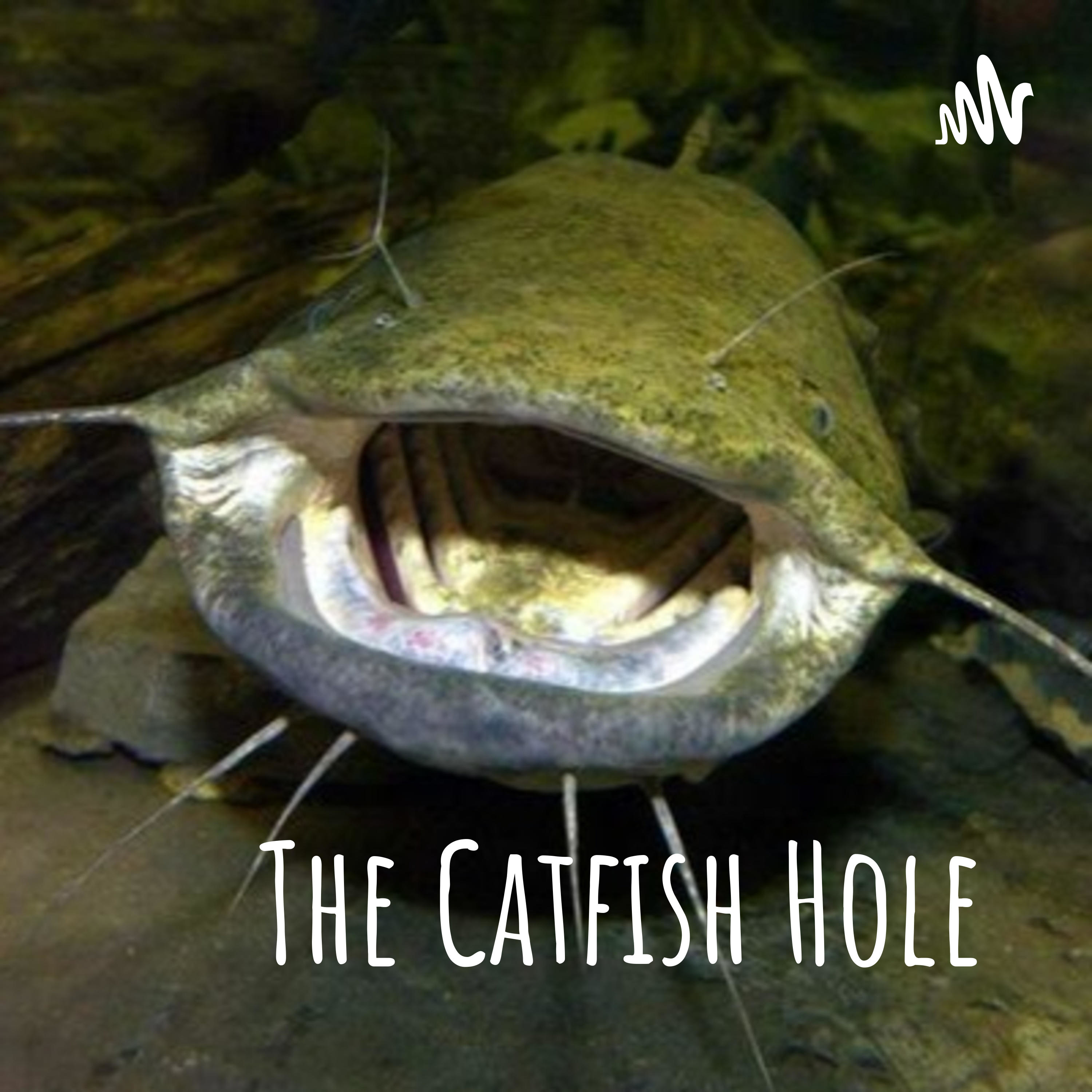 The Catfish Hole