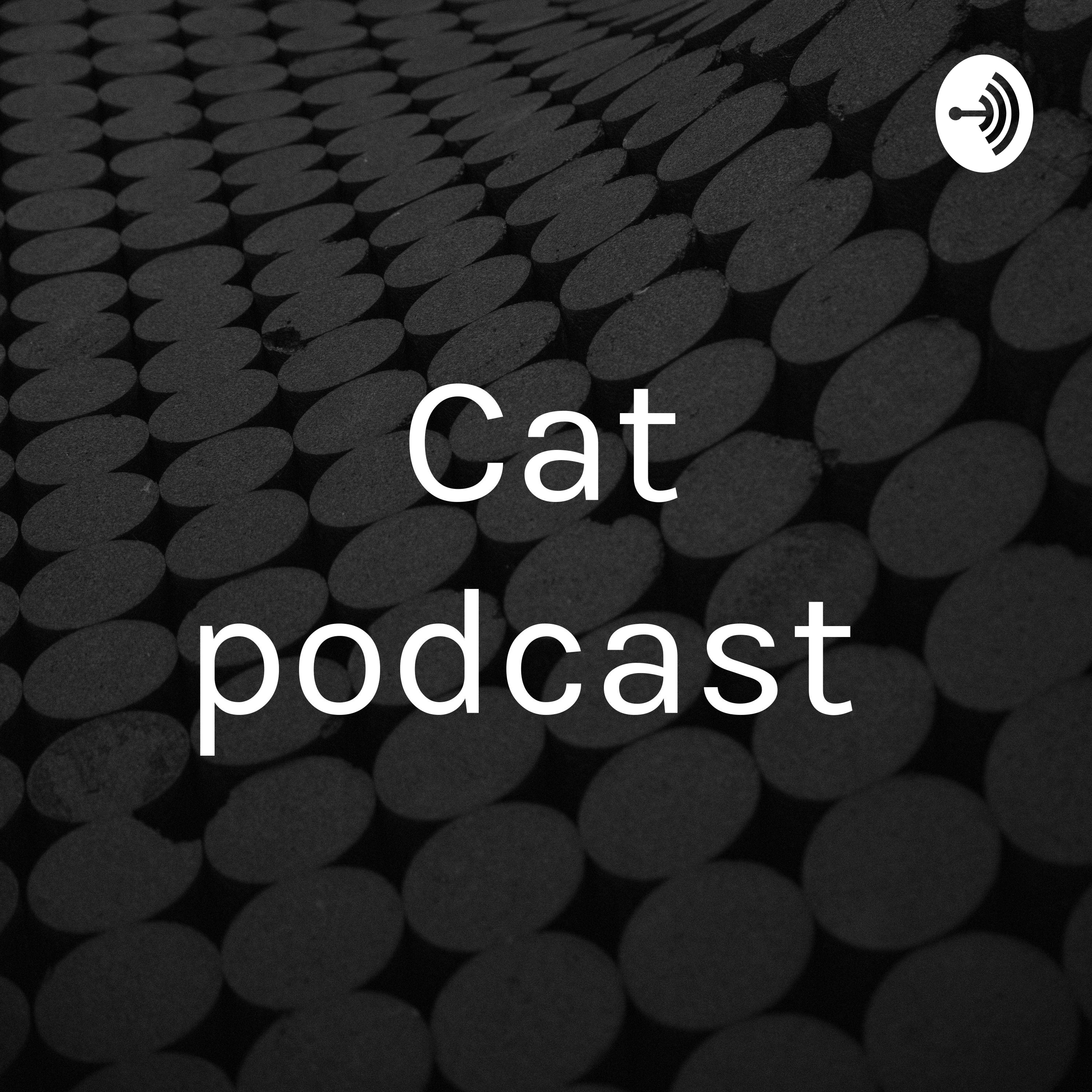 Cat podcast