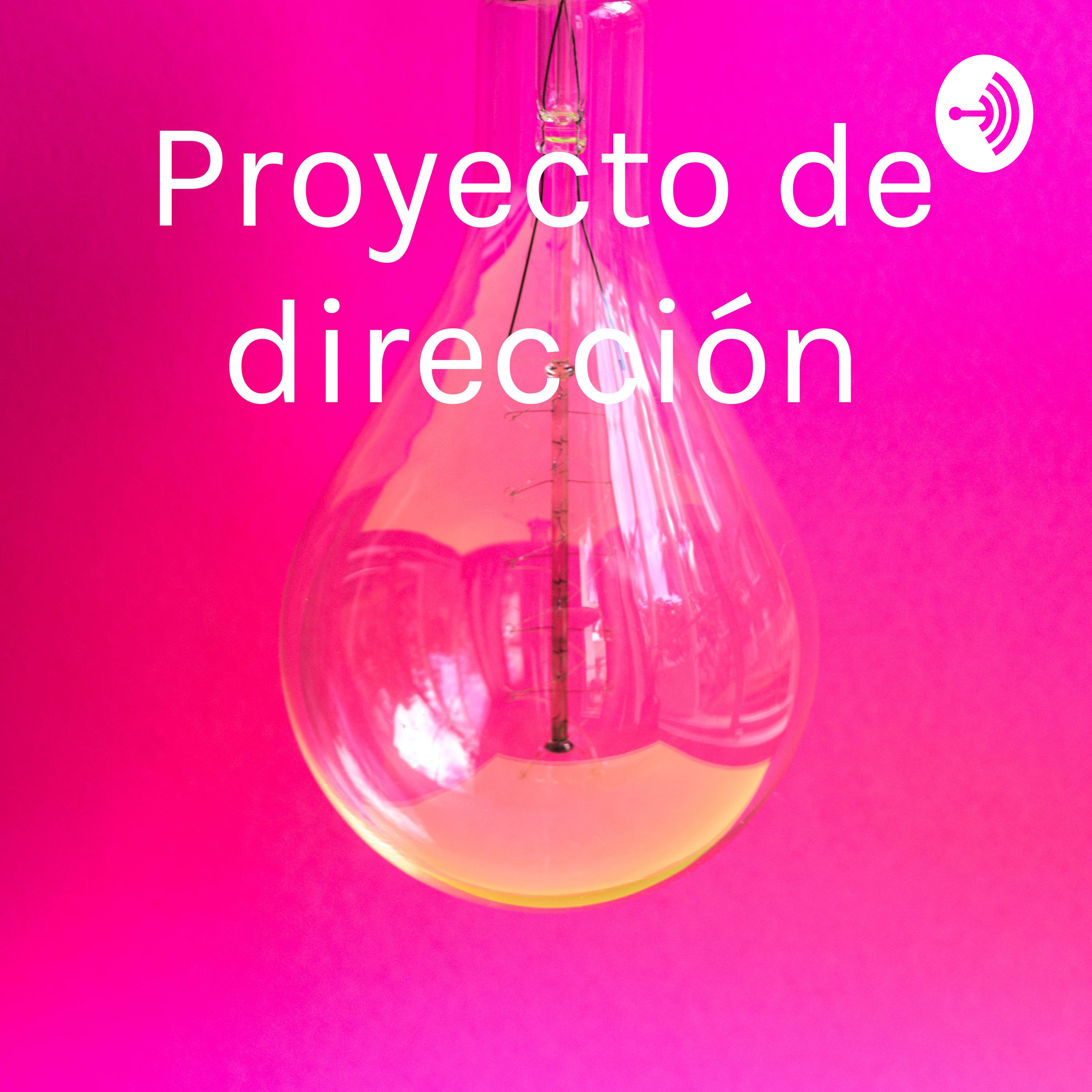 Proyecto de dirección