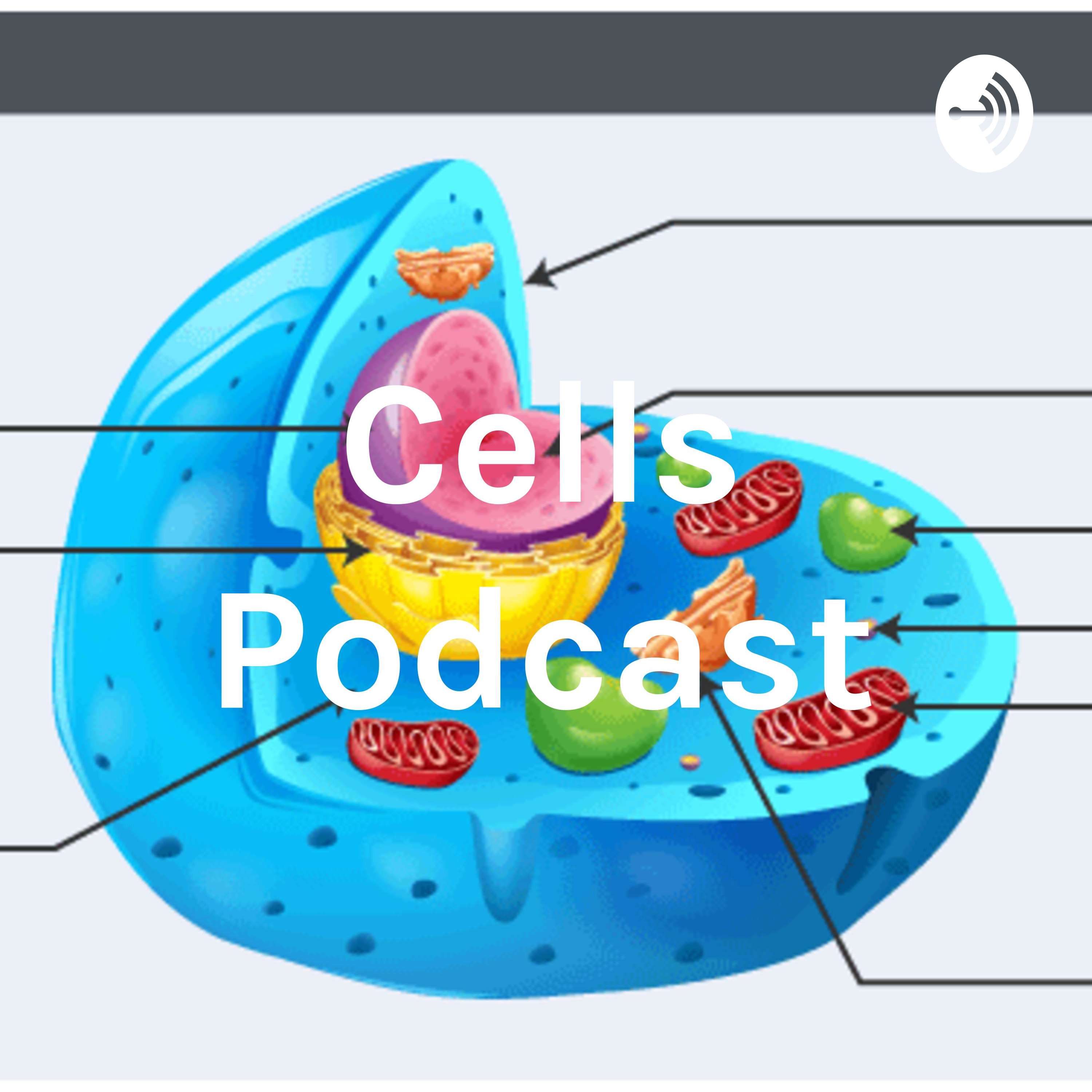 Cells Podcast