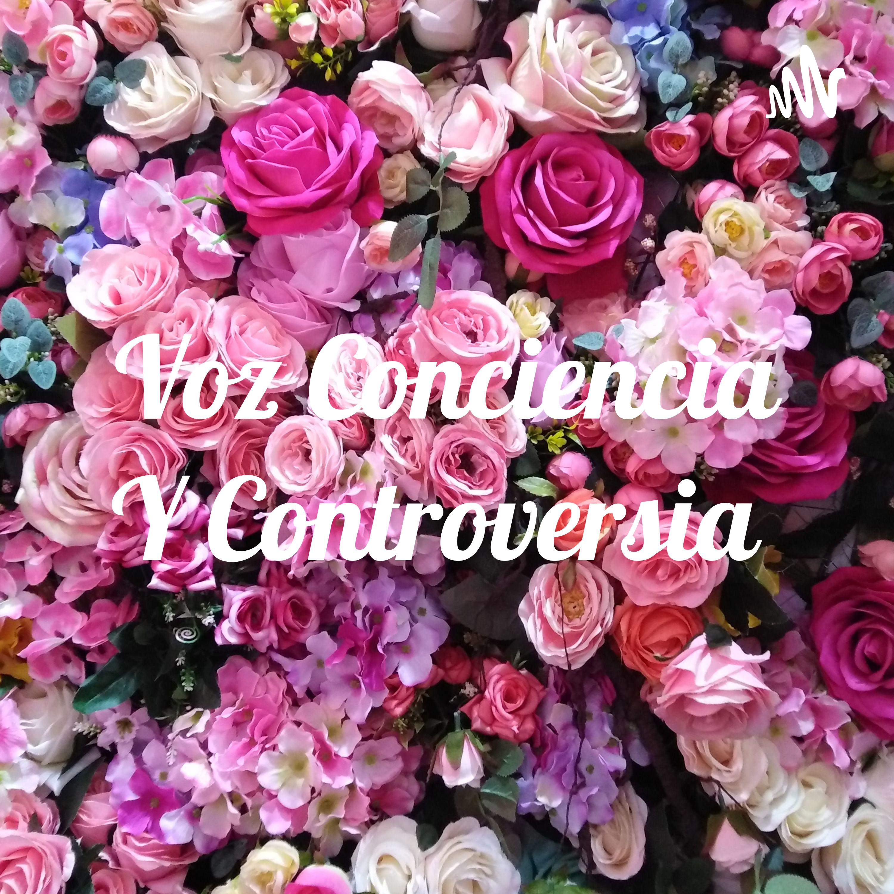 Voz Conciencia Y Controversia