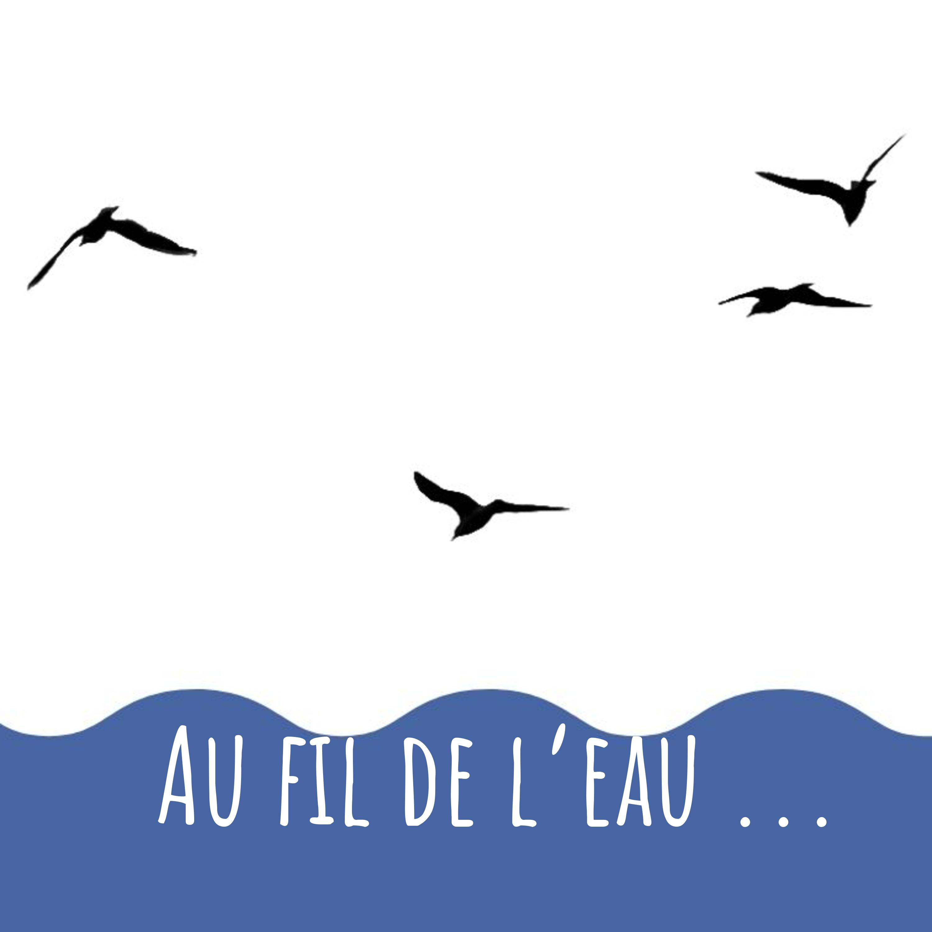 Au fil de l'eau ...