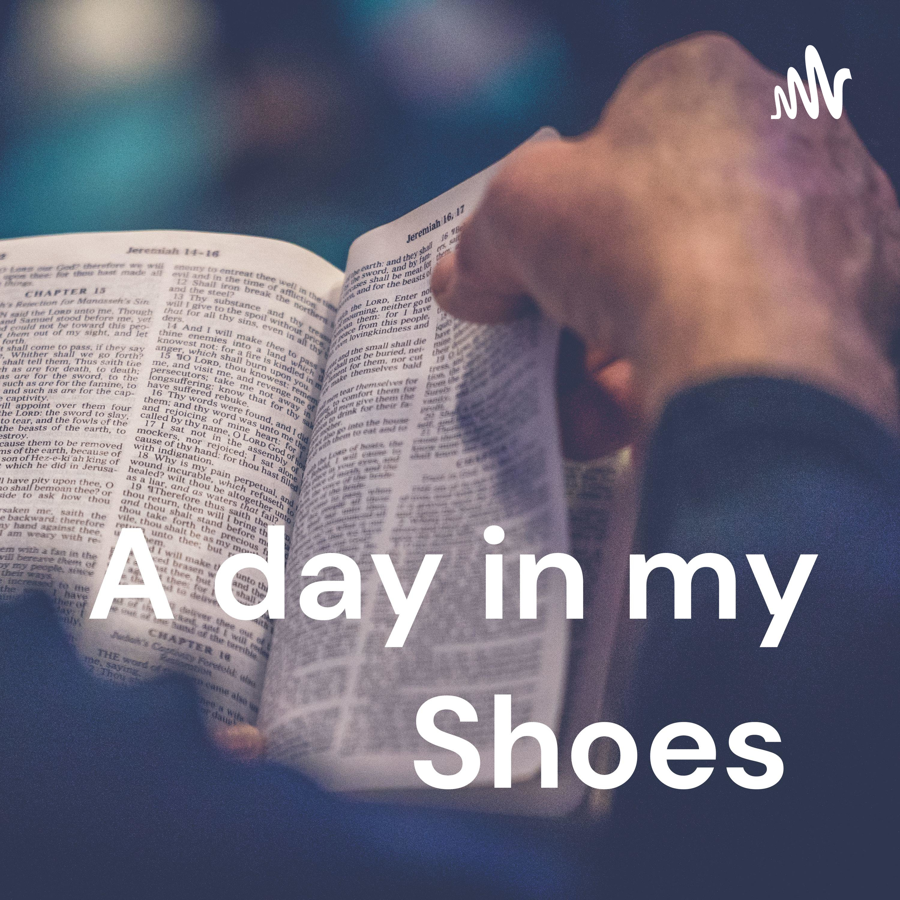 A day in my Shoes