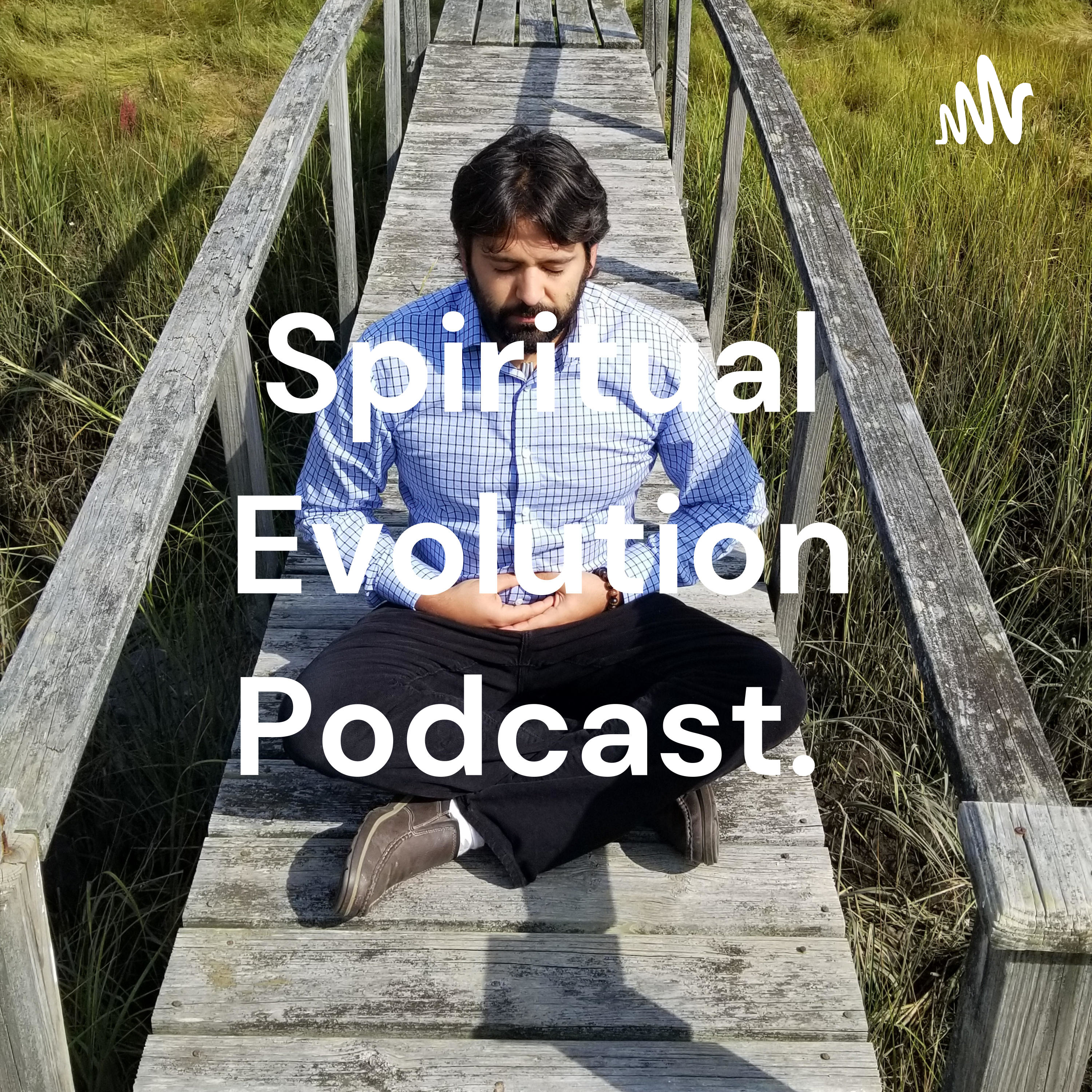 Spiritual Evolution Podcast. podcast artwork