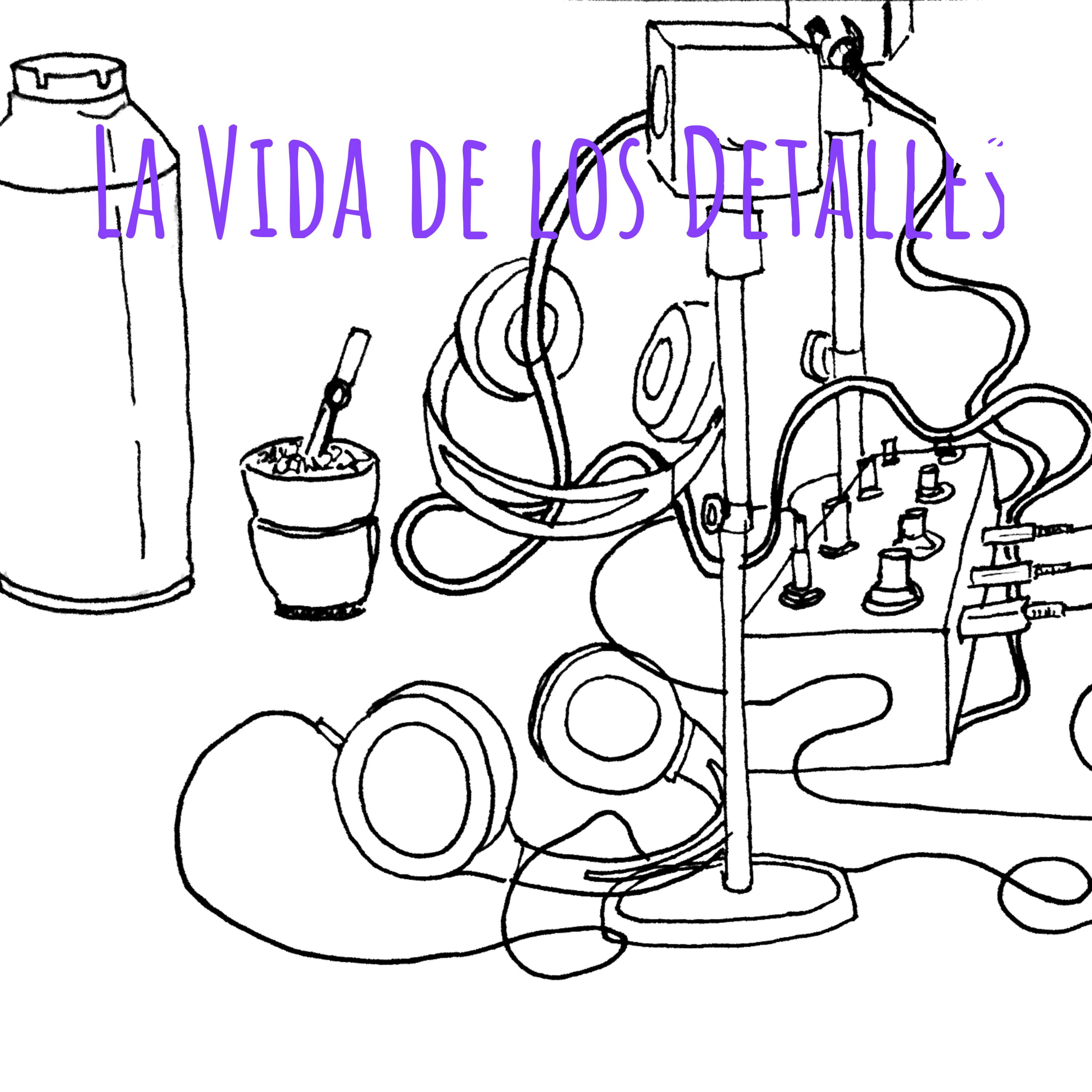 La Vida de los Detalles