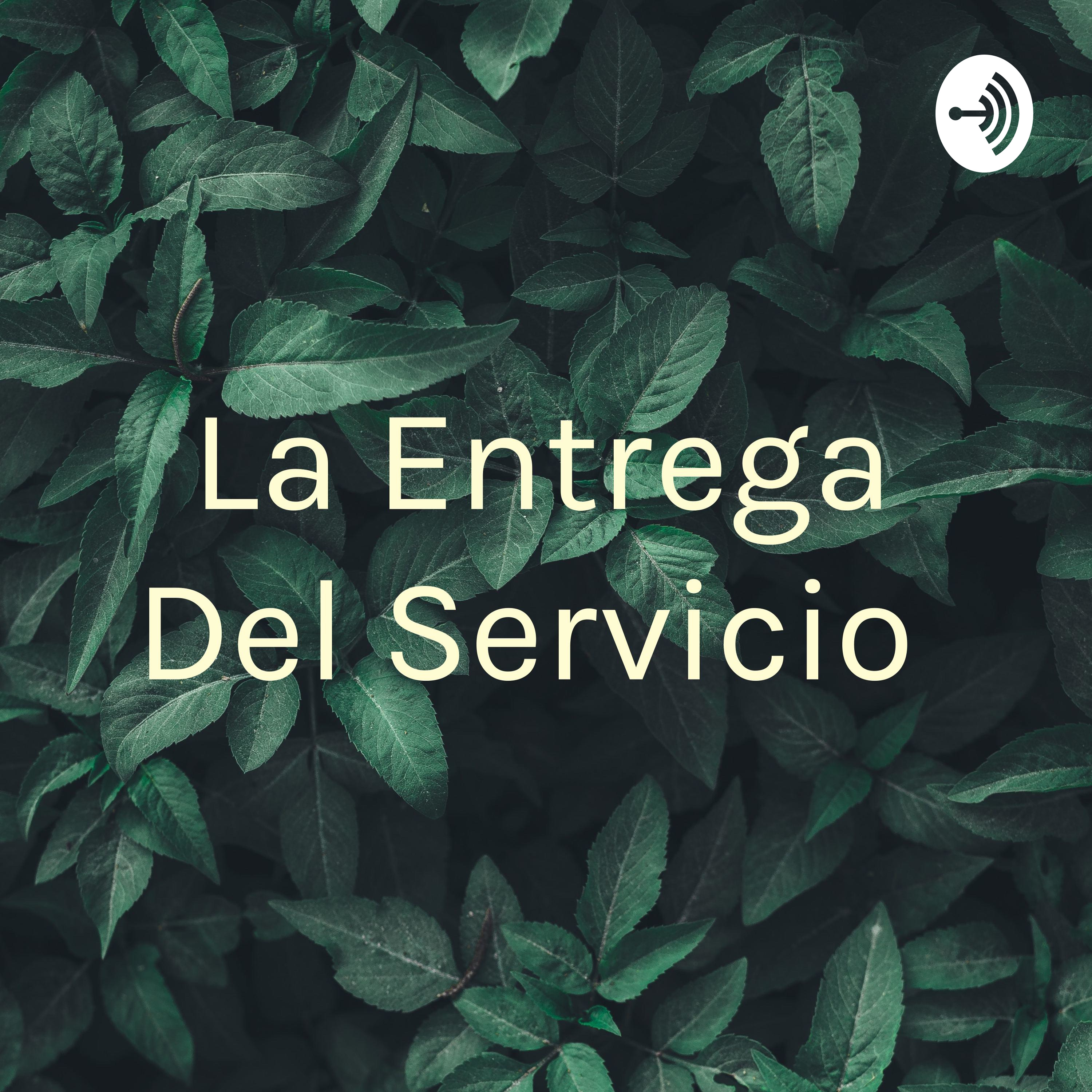 La Entrega Del Servicio 