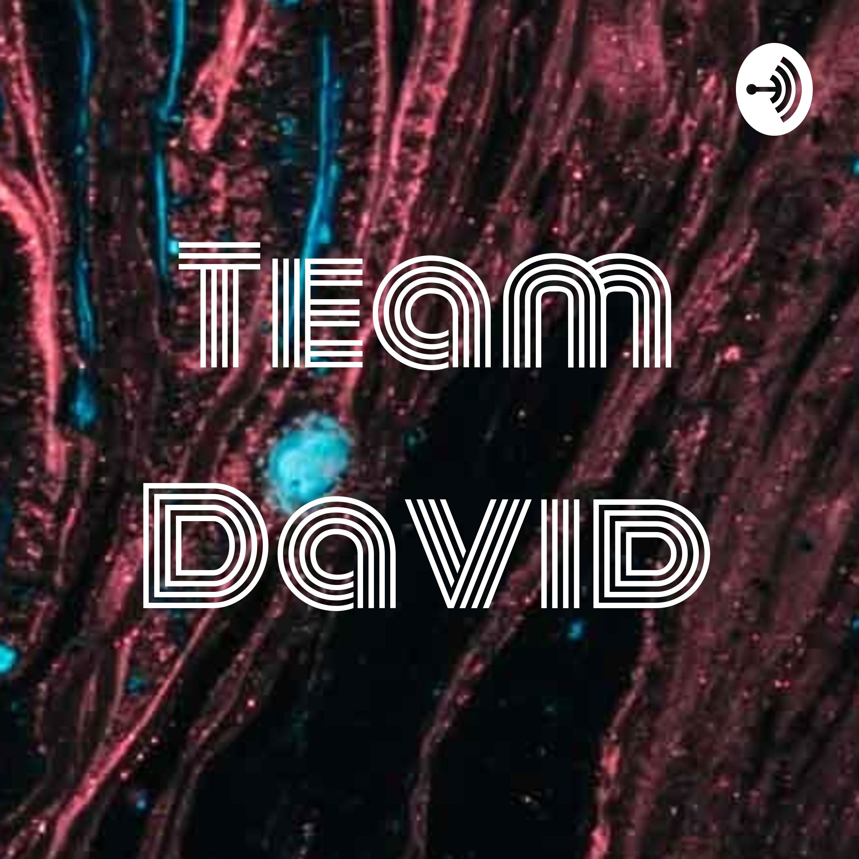 Team David