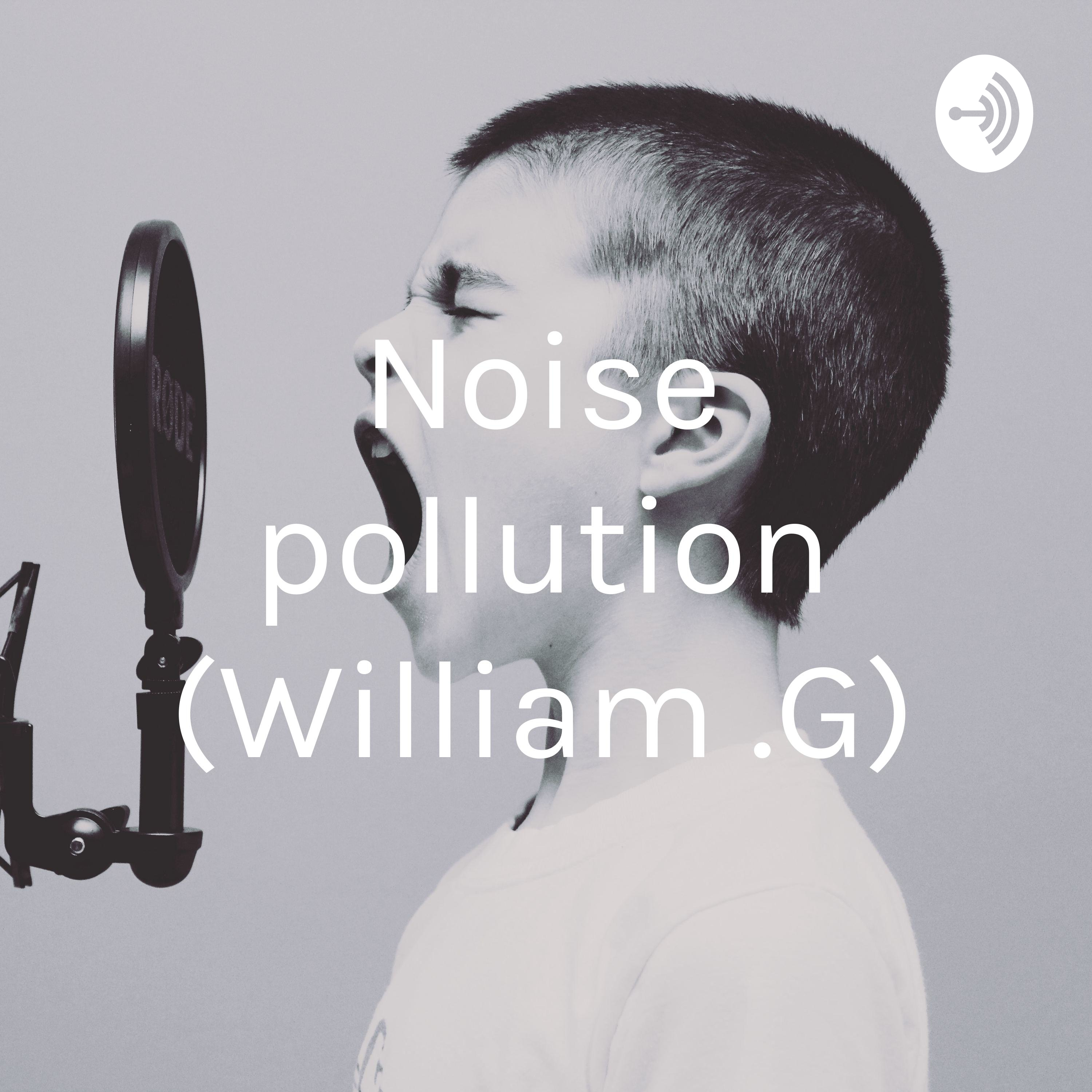 Noise pollution (William .G)