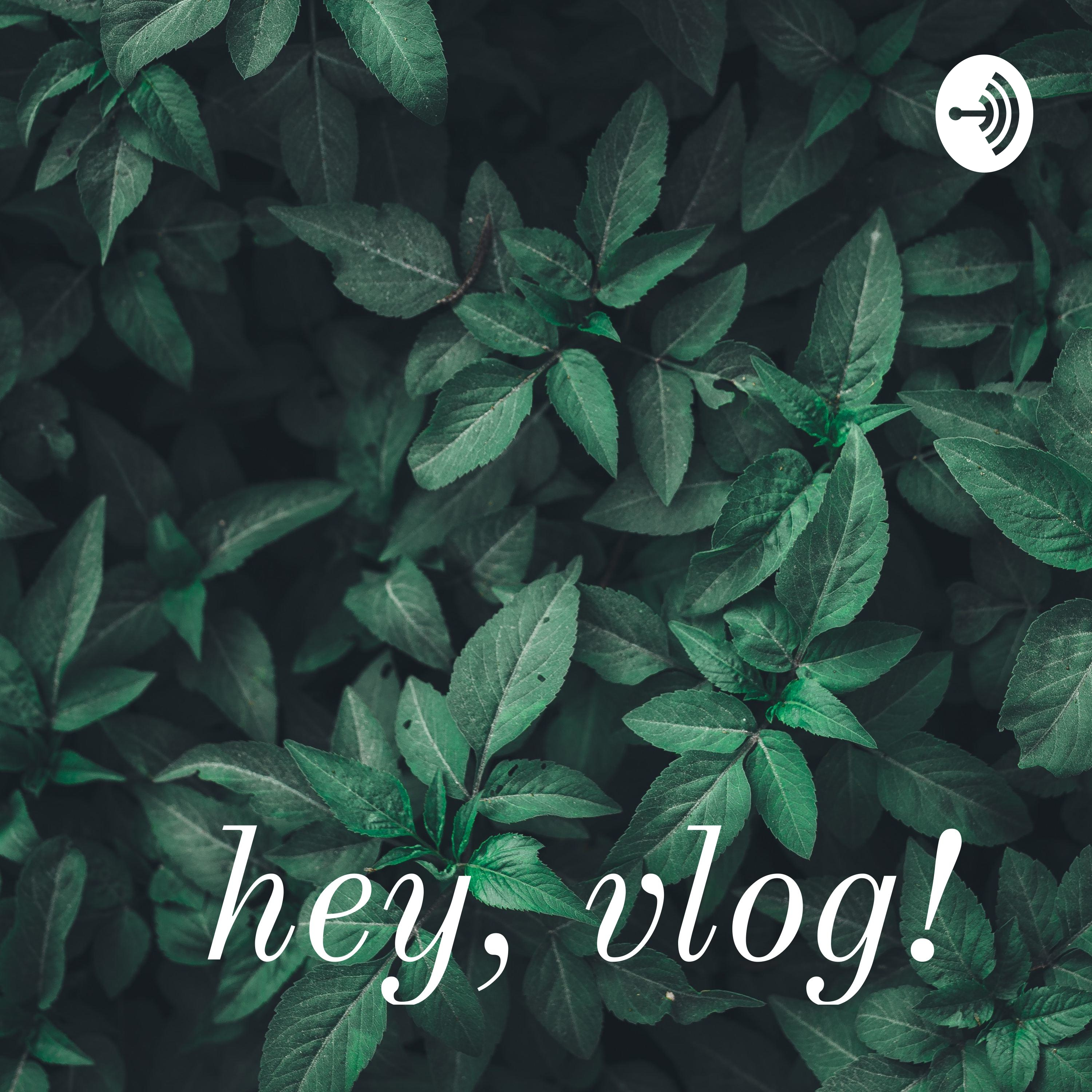 “dissecting;” a podcast episode in which: i talk about The Things They Carried.