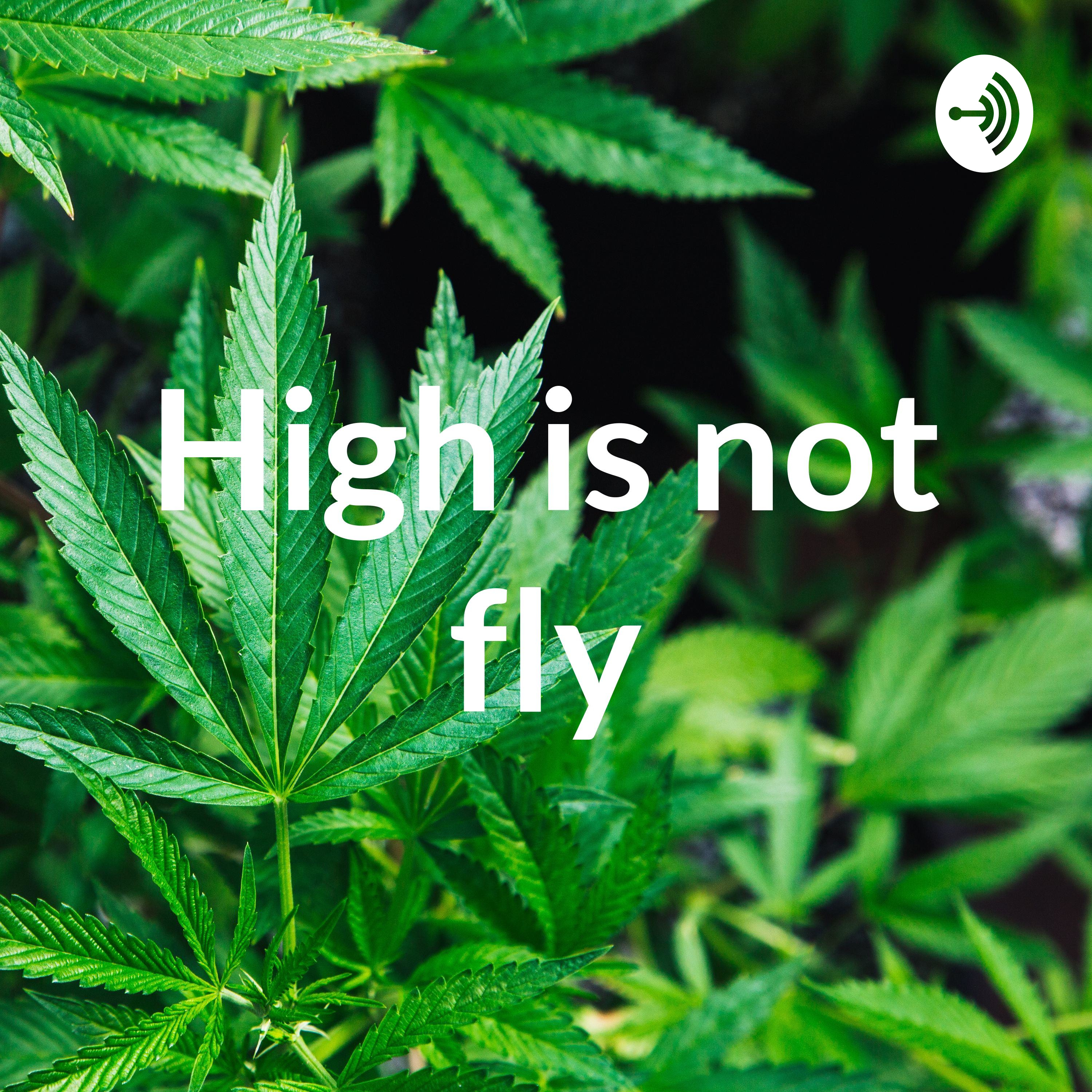 High is not fly
