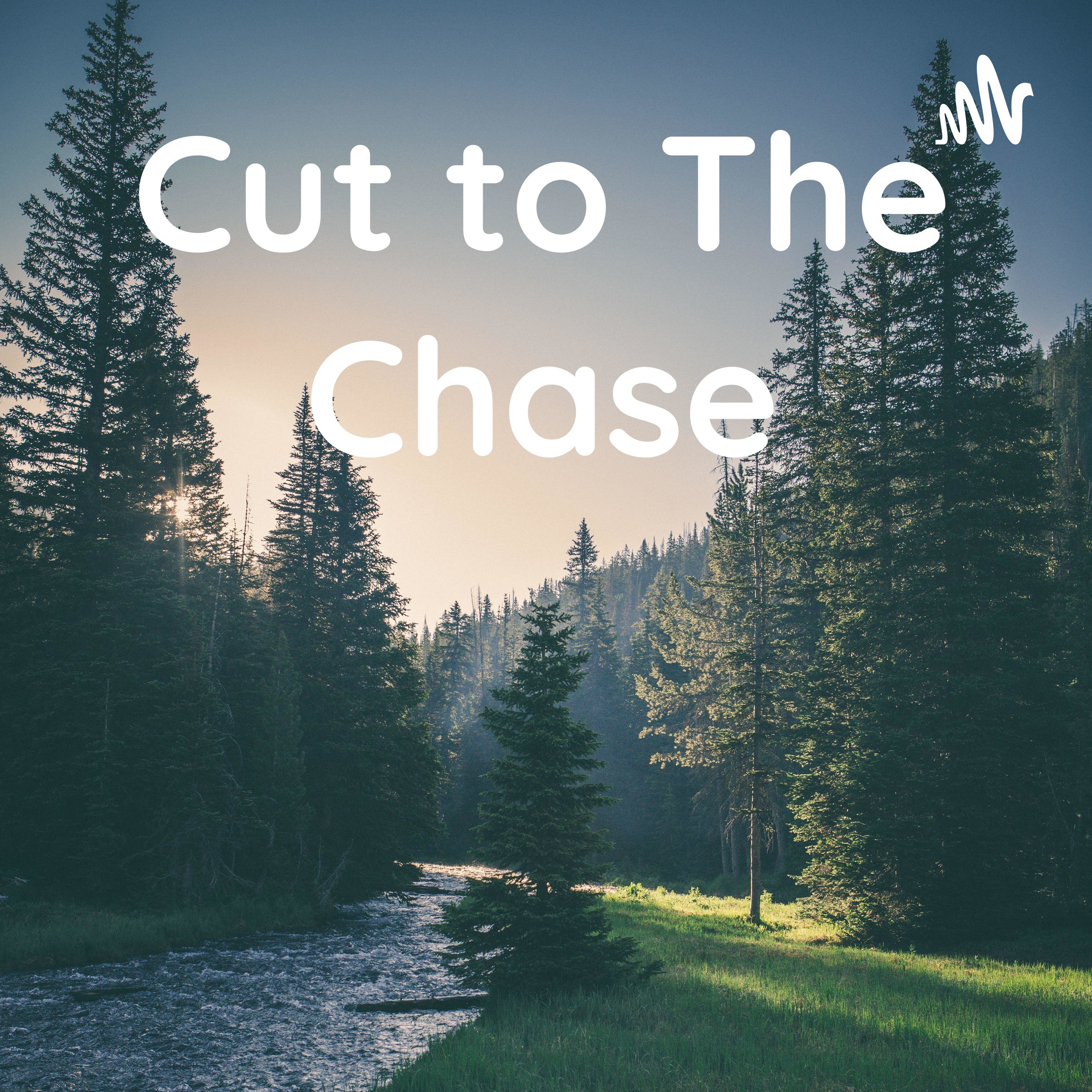 Cut to The Chase