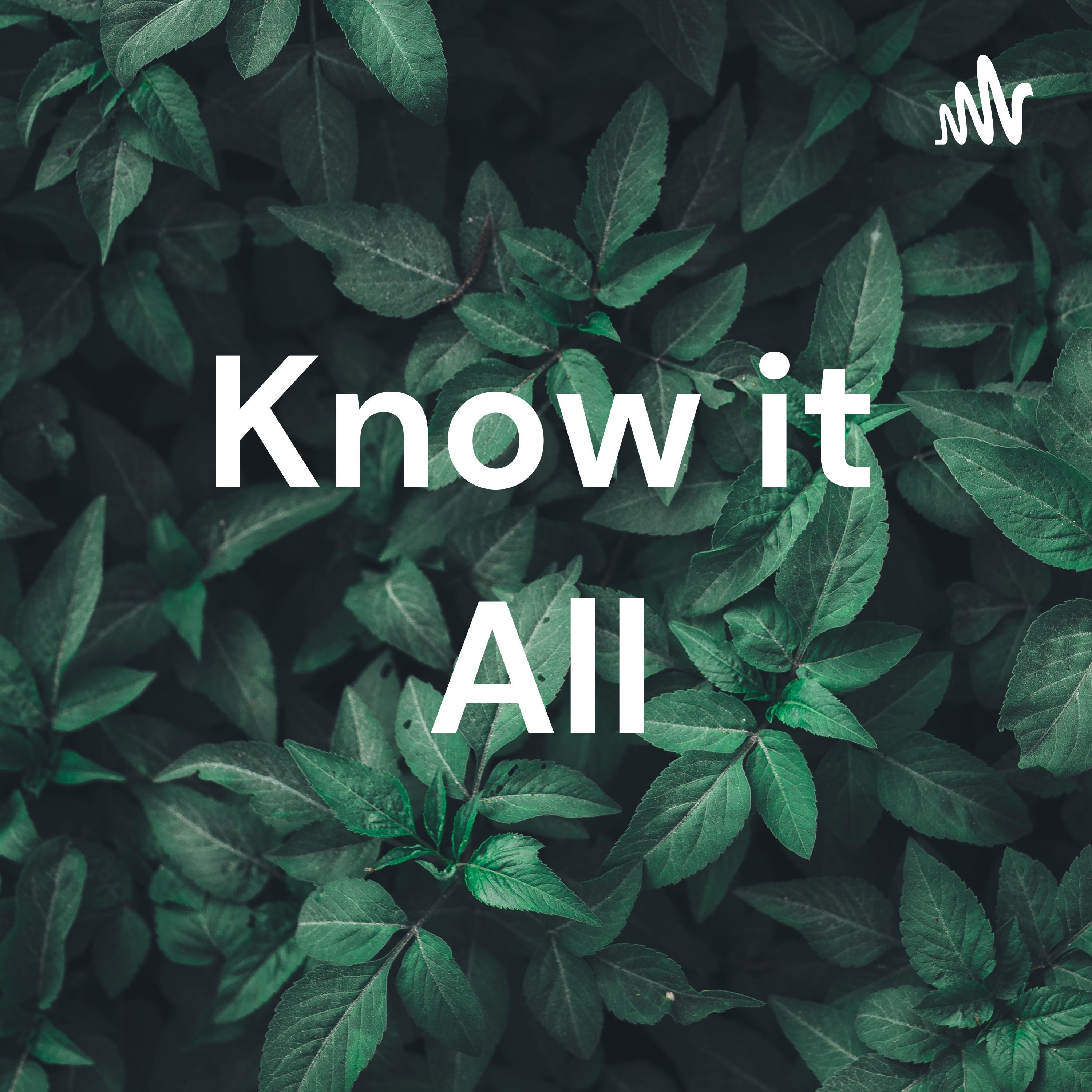 Know it All podcast artwork