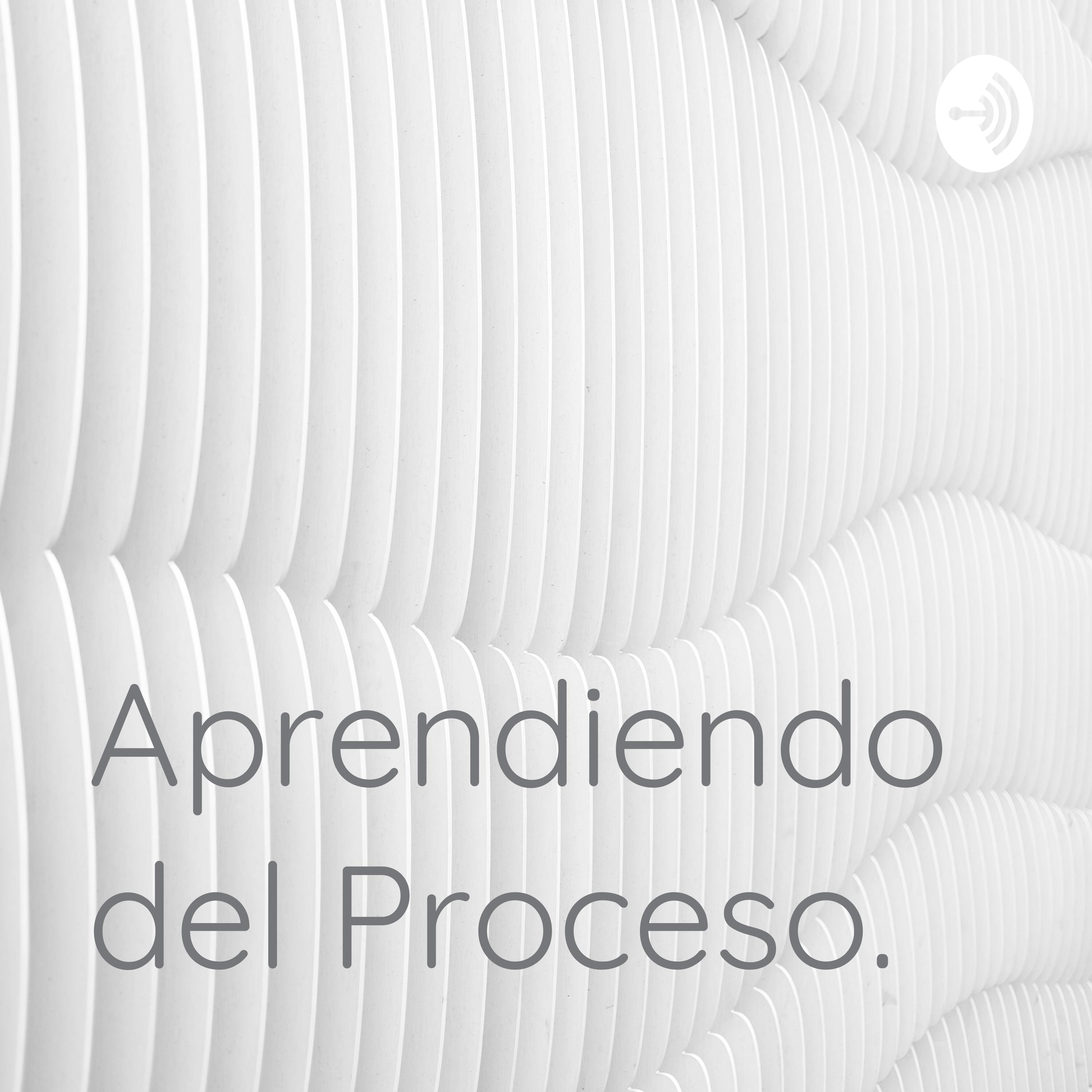 Aprendiendo del Proceso.