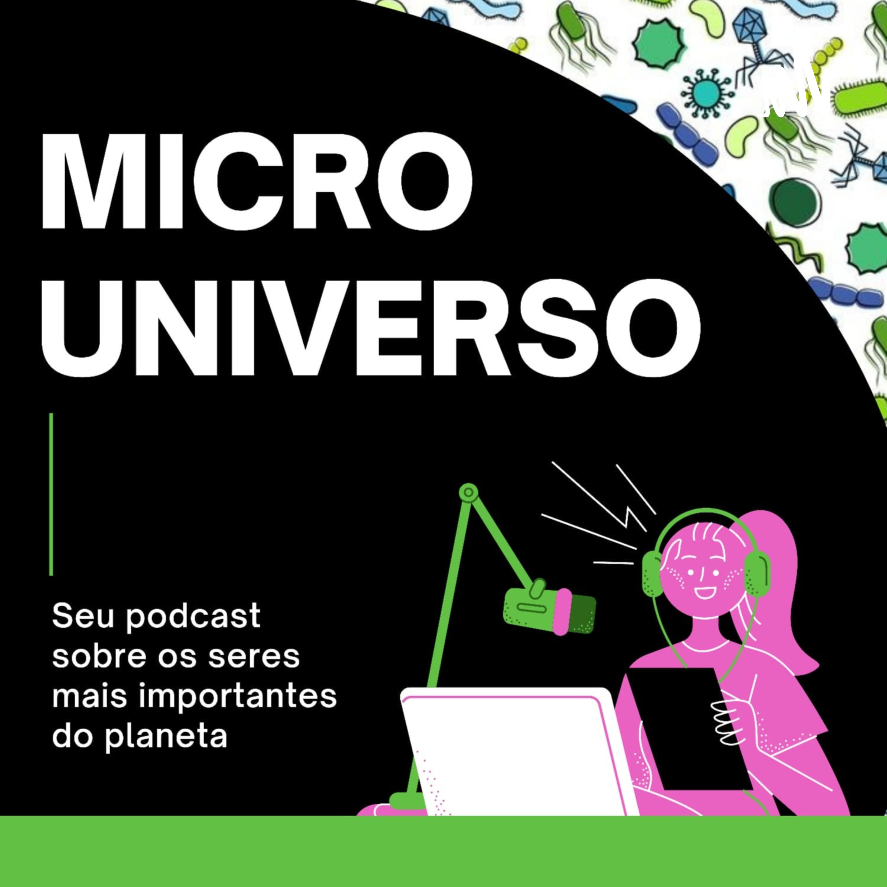 Micro Universo