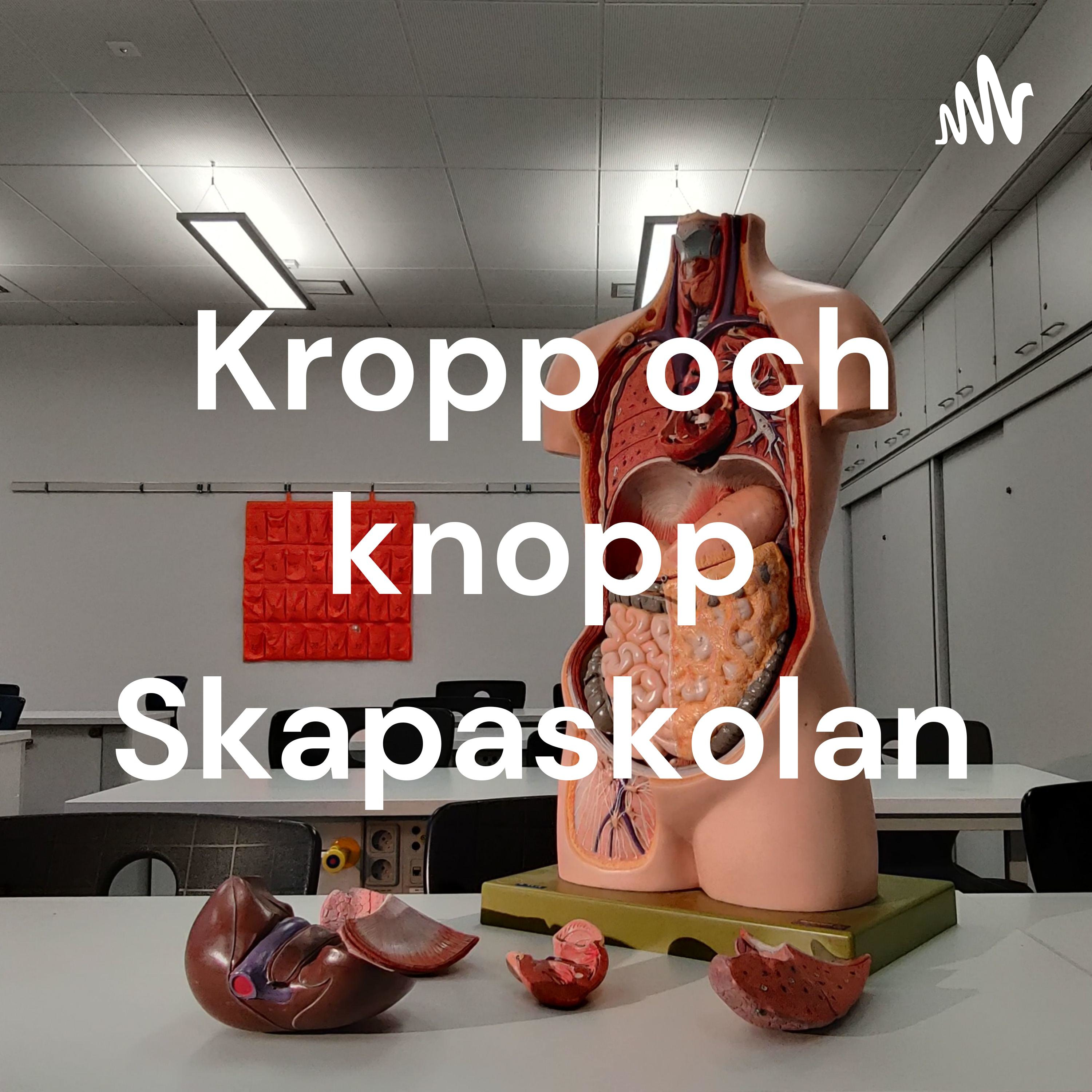 Kropp och knopp Skapaskolan