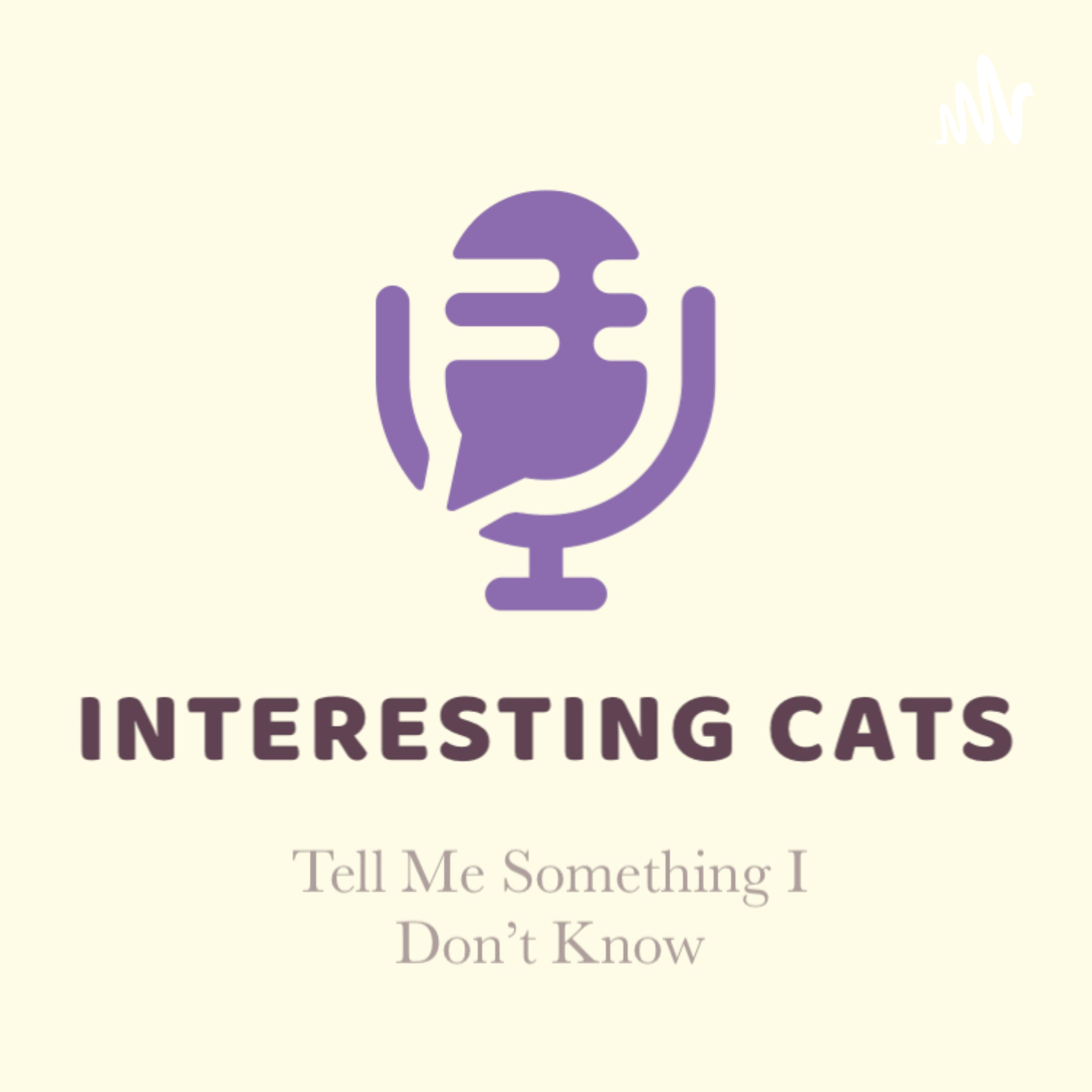 Interesting Cats podcast artwork
