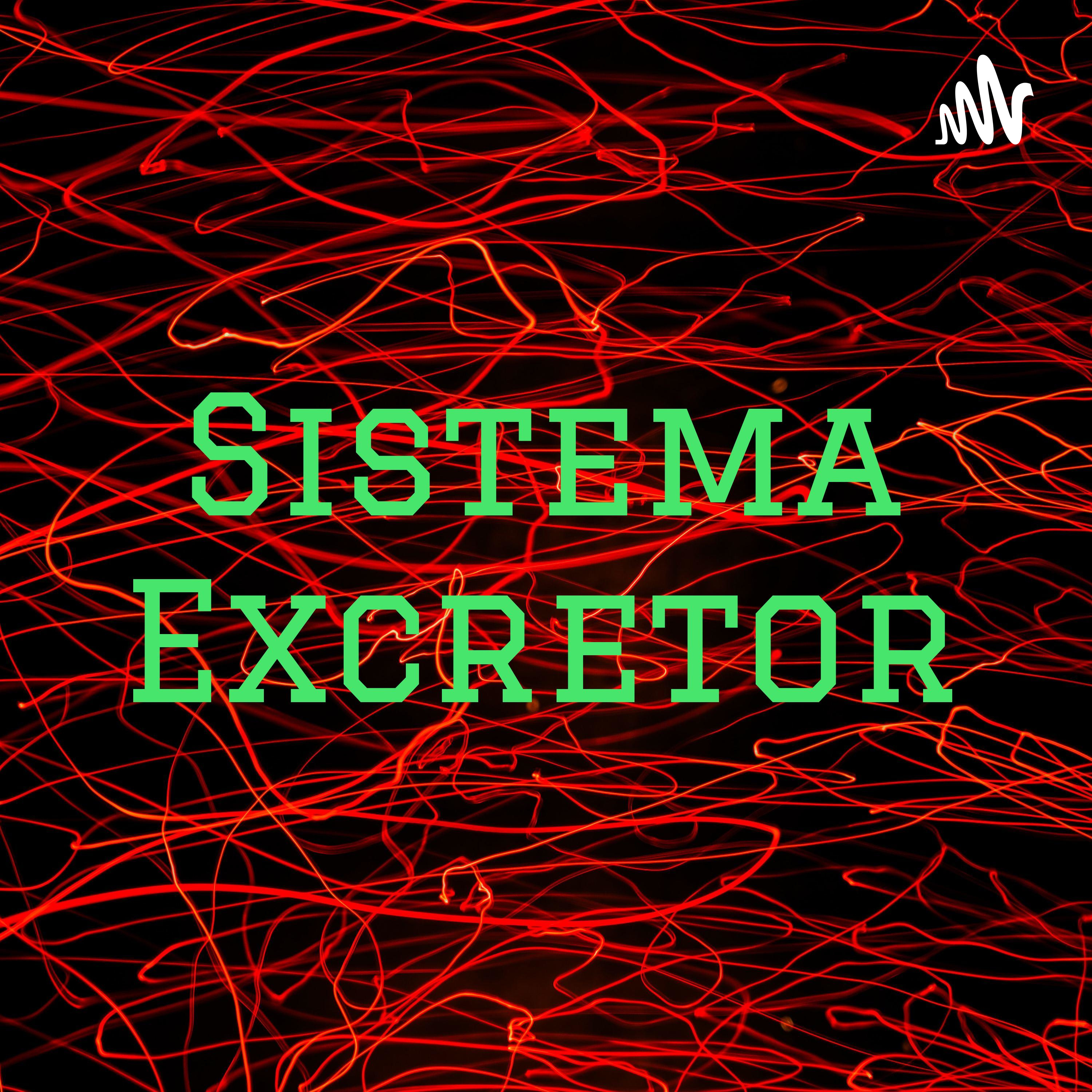 Sistema Excretor podcast artwork