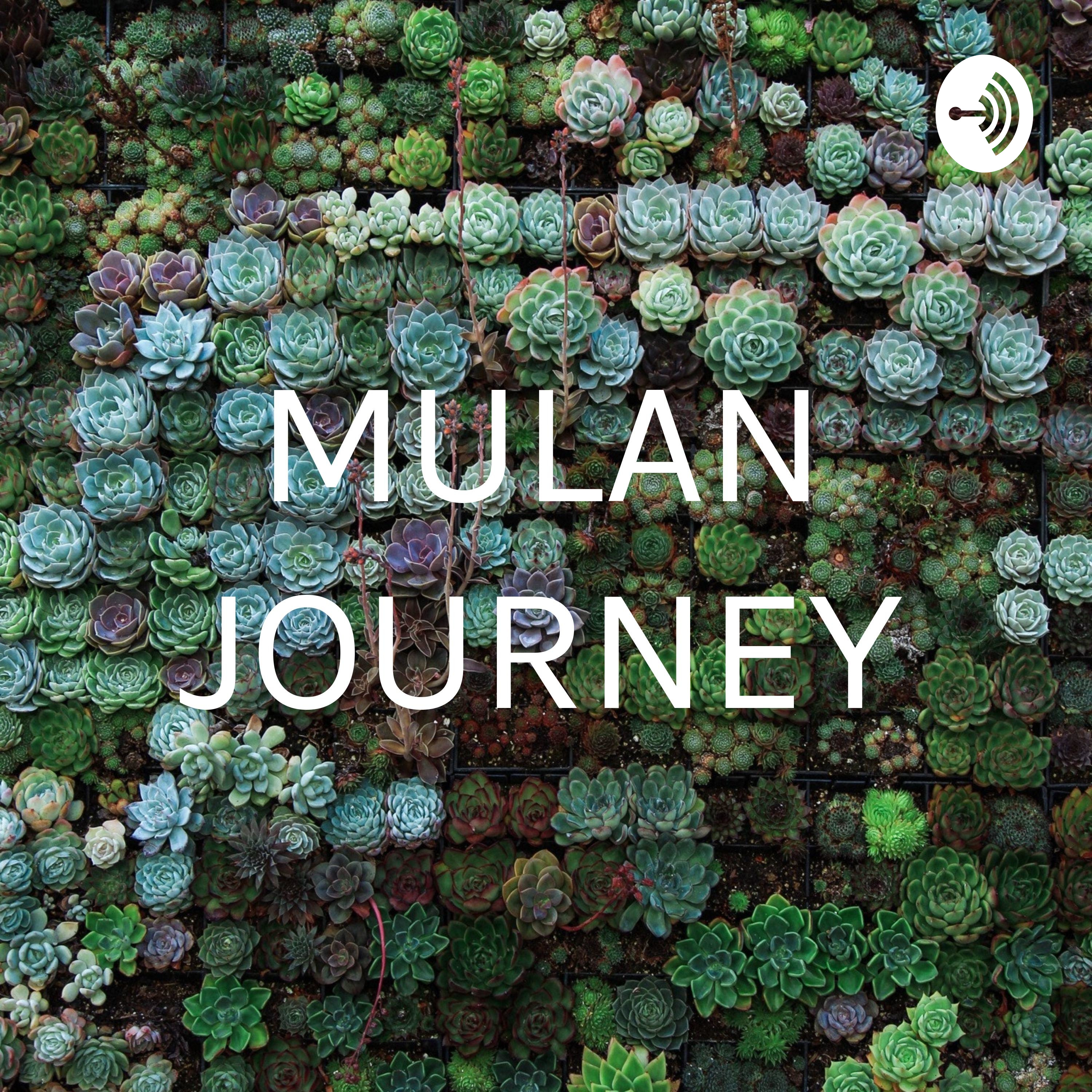 MULAN JOURNEY