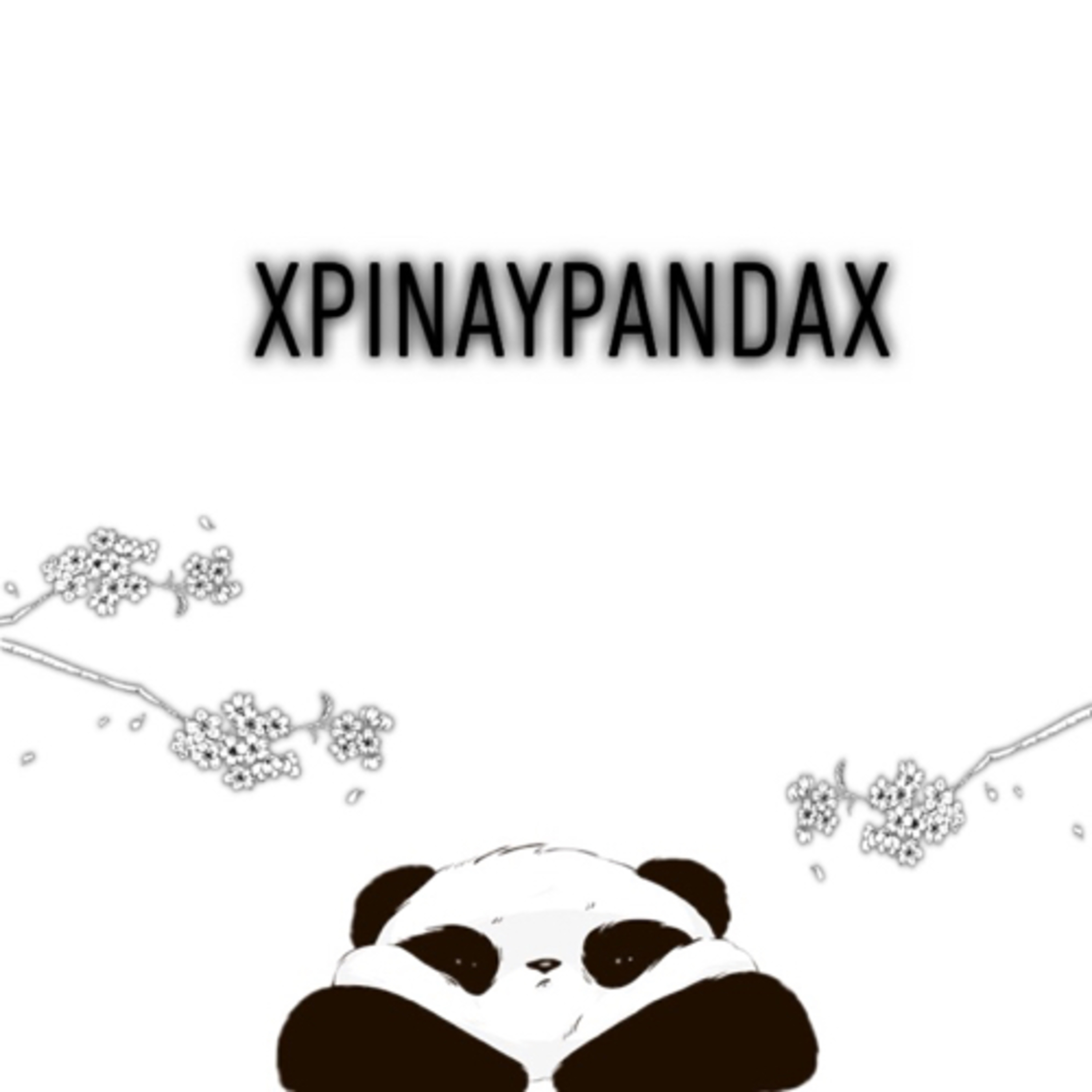xpinaypandax