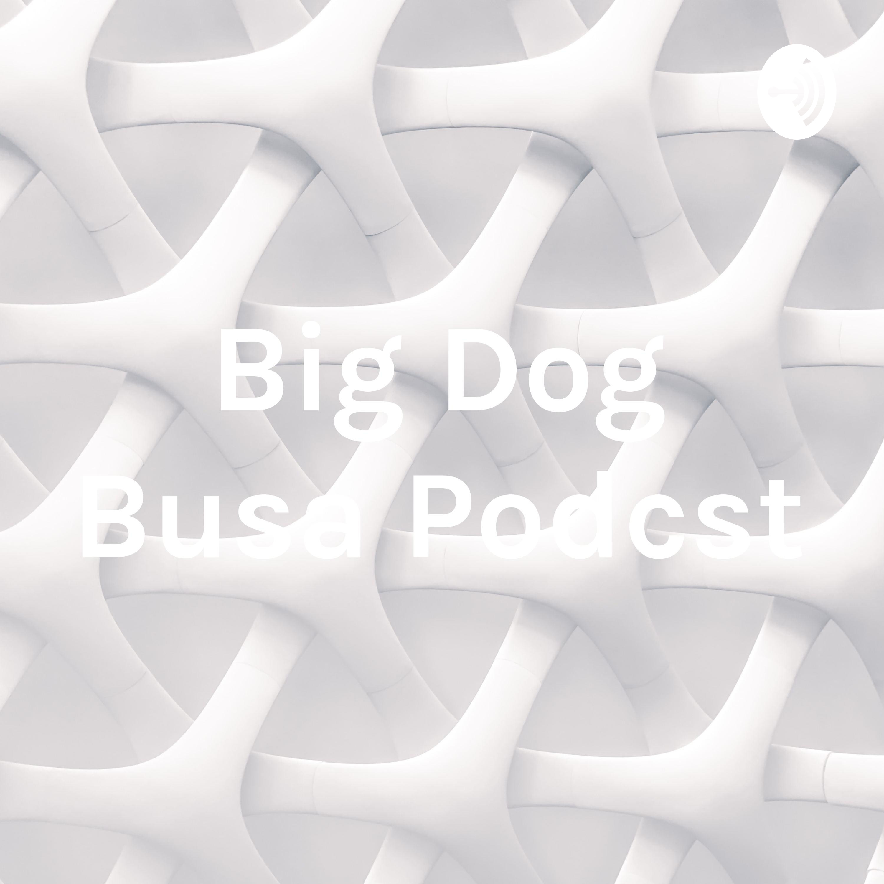 Big Dog Busa Podcst