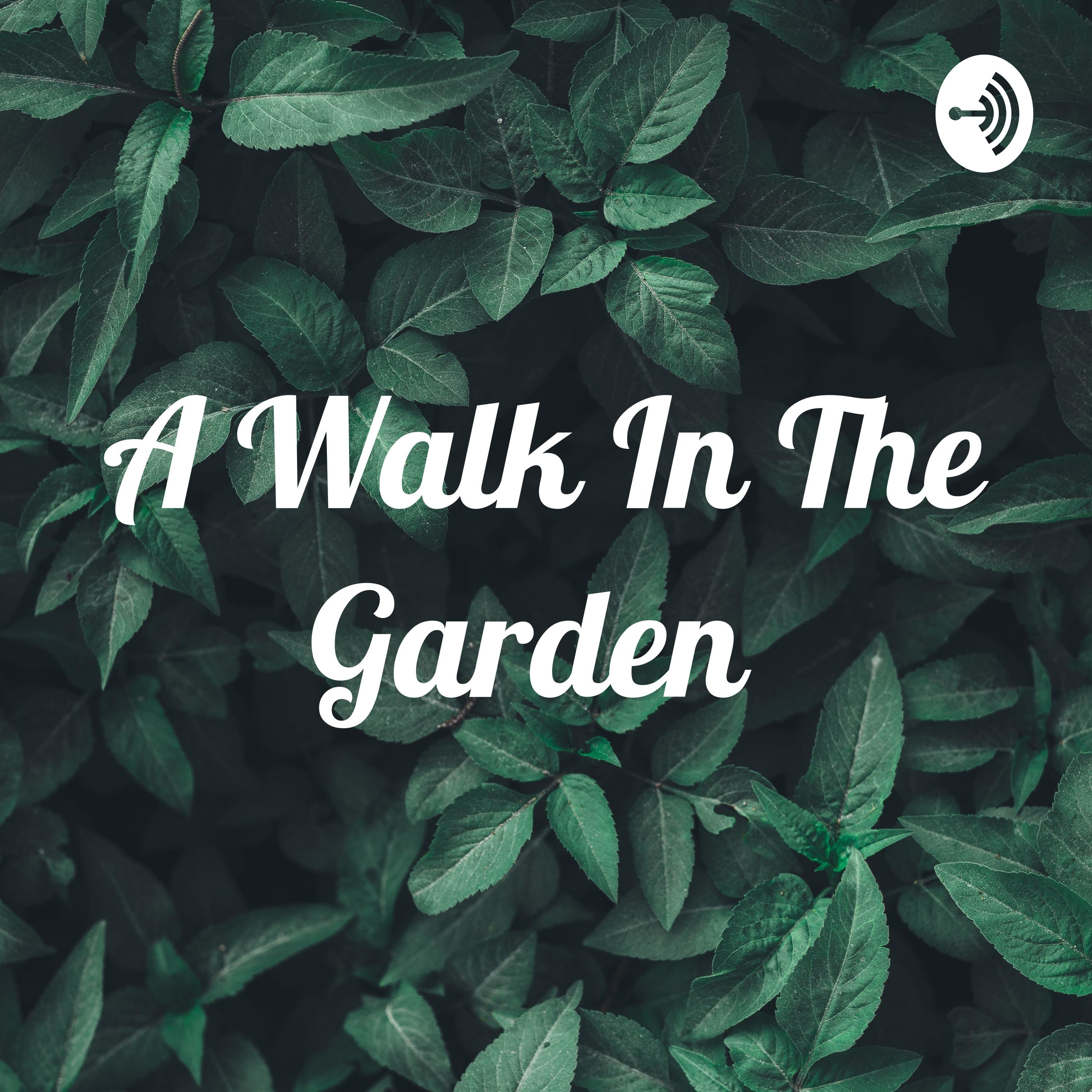 A Walk In The Garden 