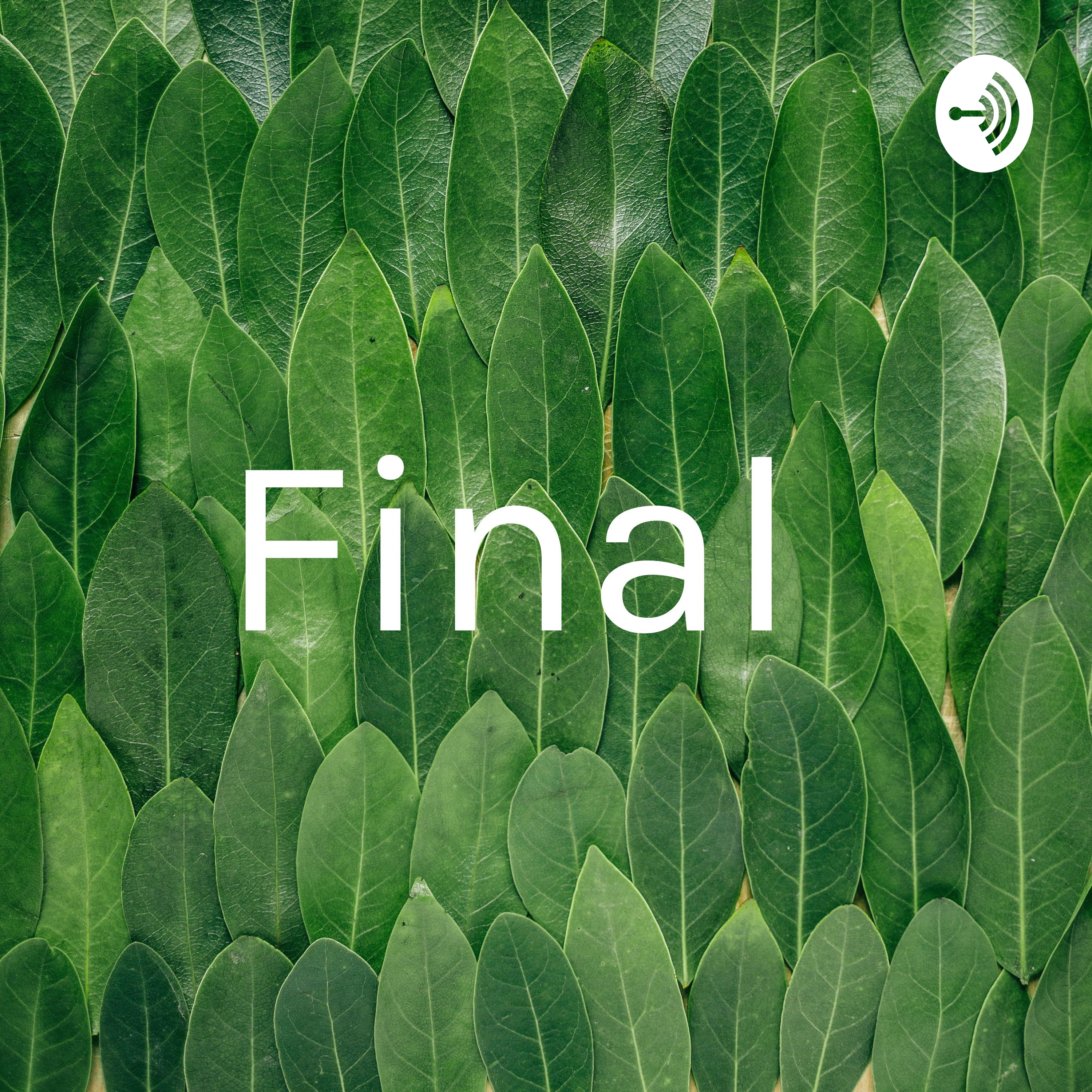 Final 
