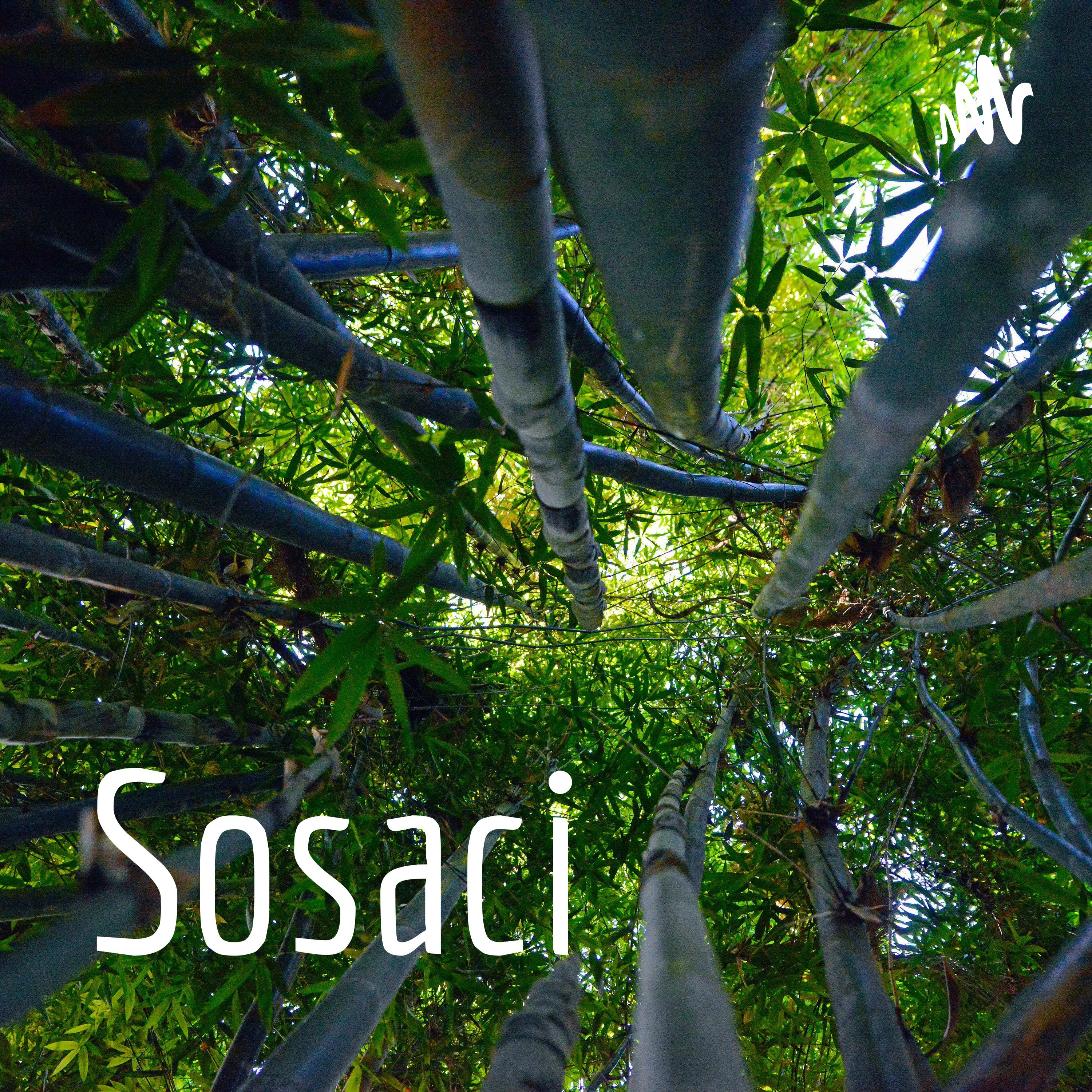 Sosaci