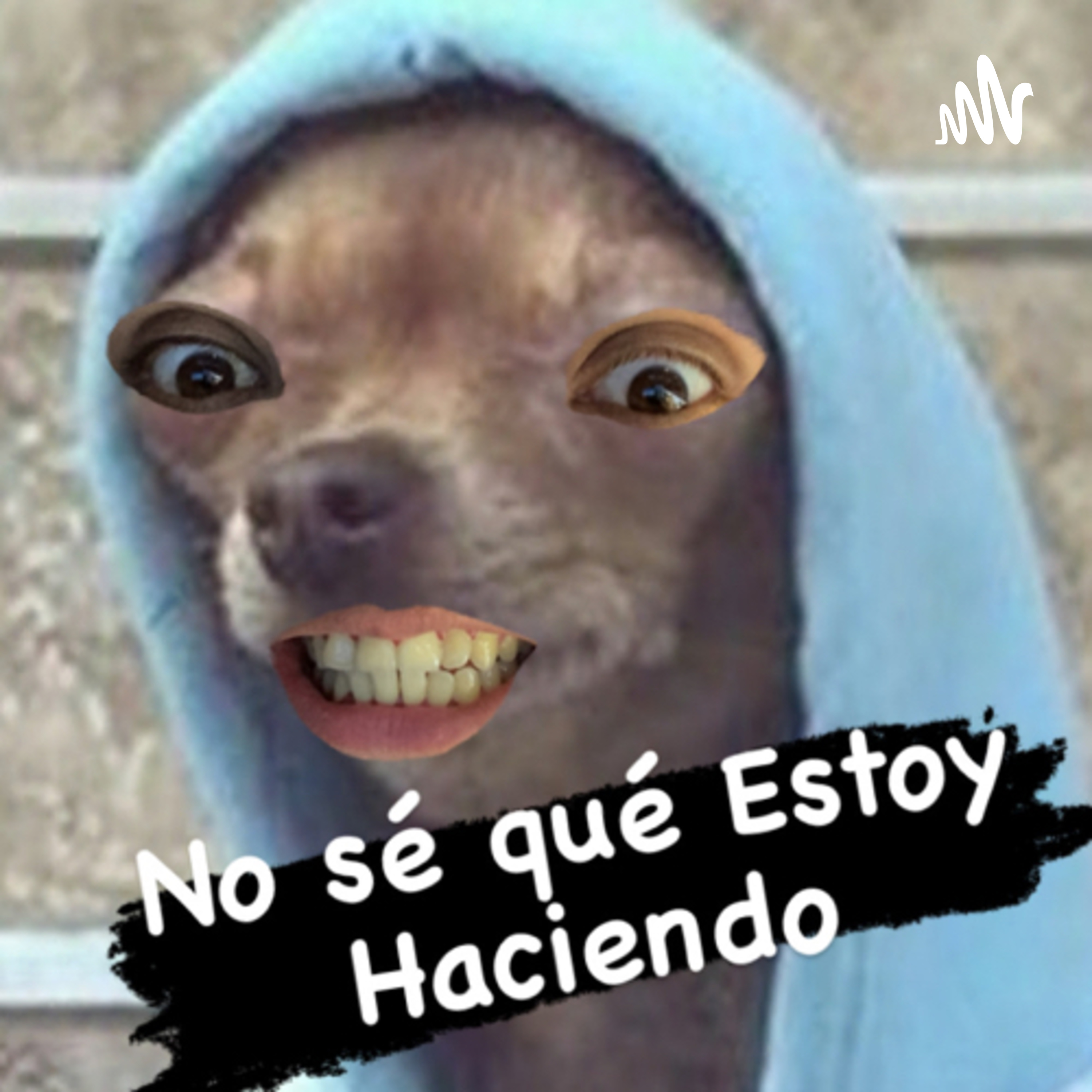 No se Que Estoy Haciendo