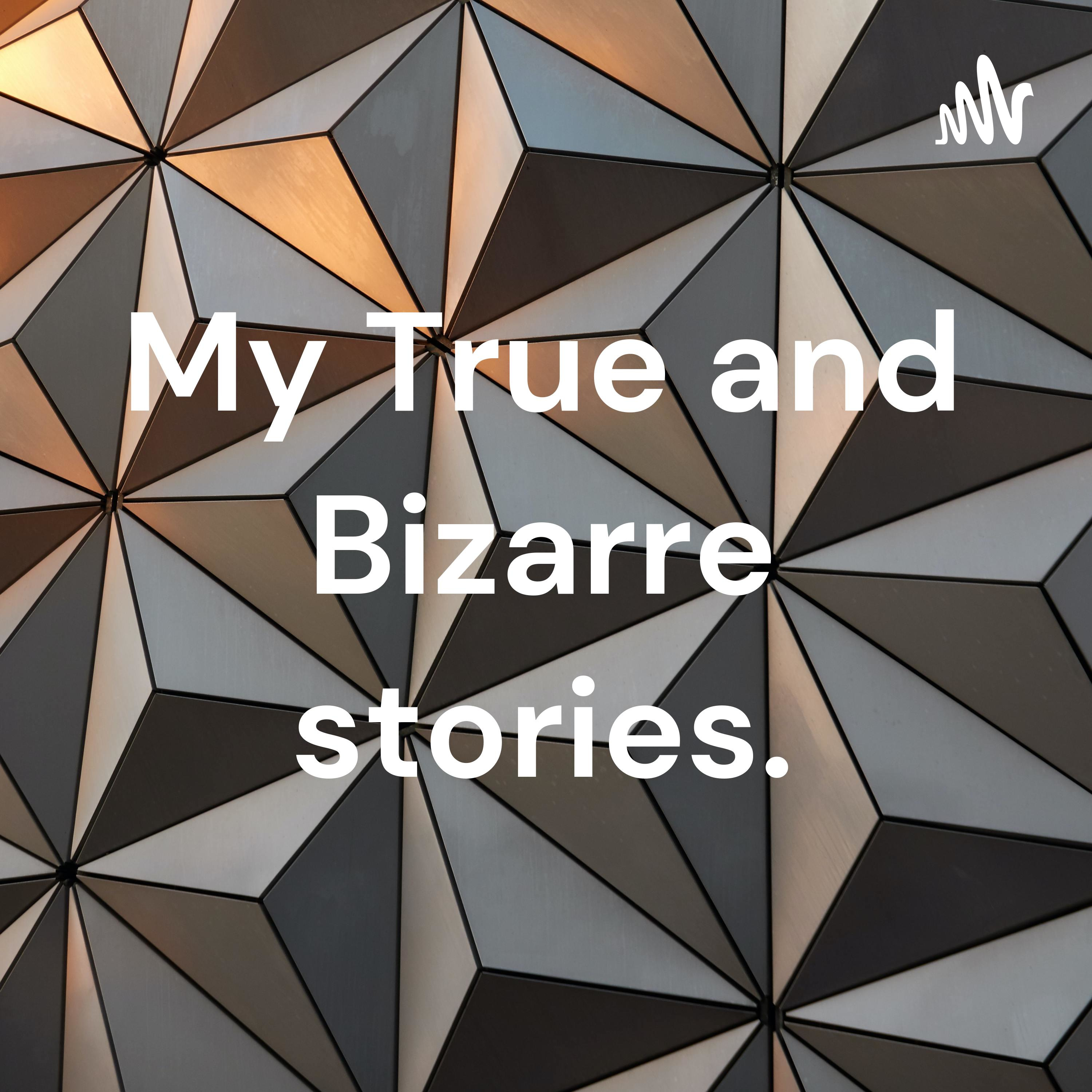 My True and Bizarre stories.