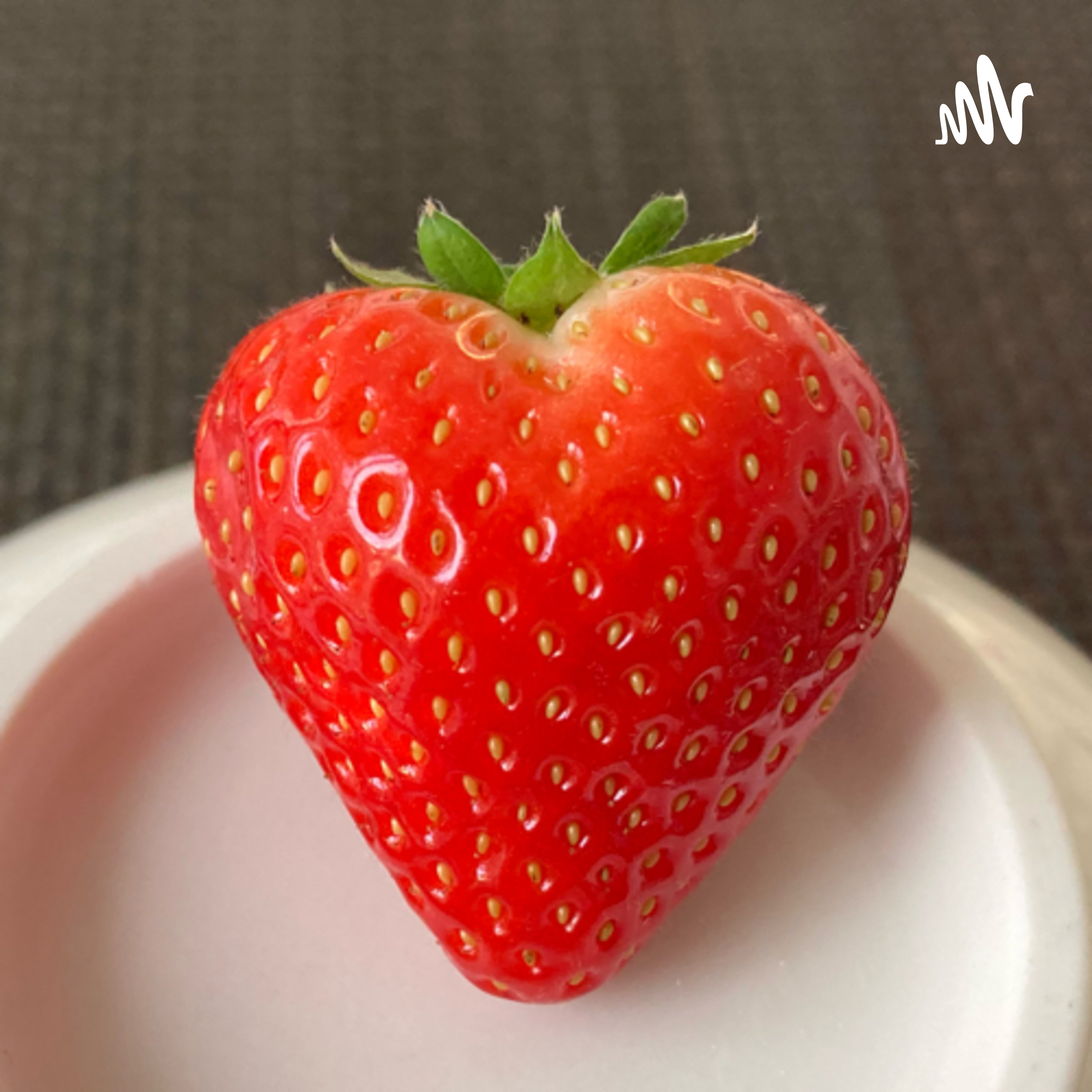 ドイツで暮らす蟻ん子日記