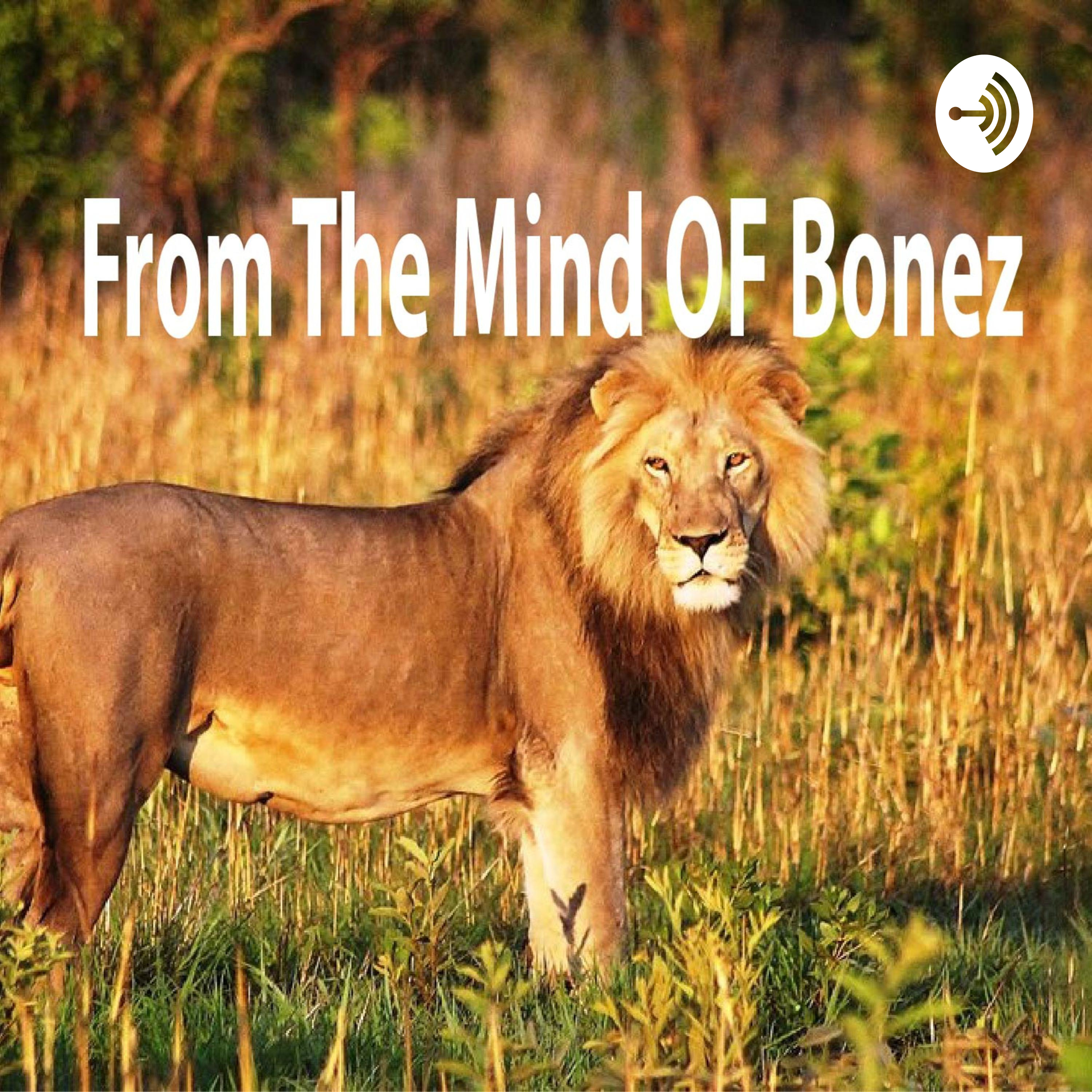 From the Mind of Bonez