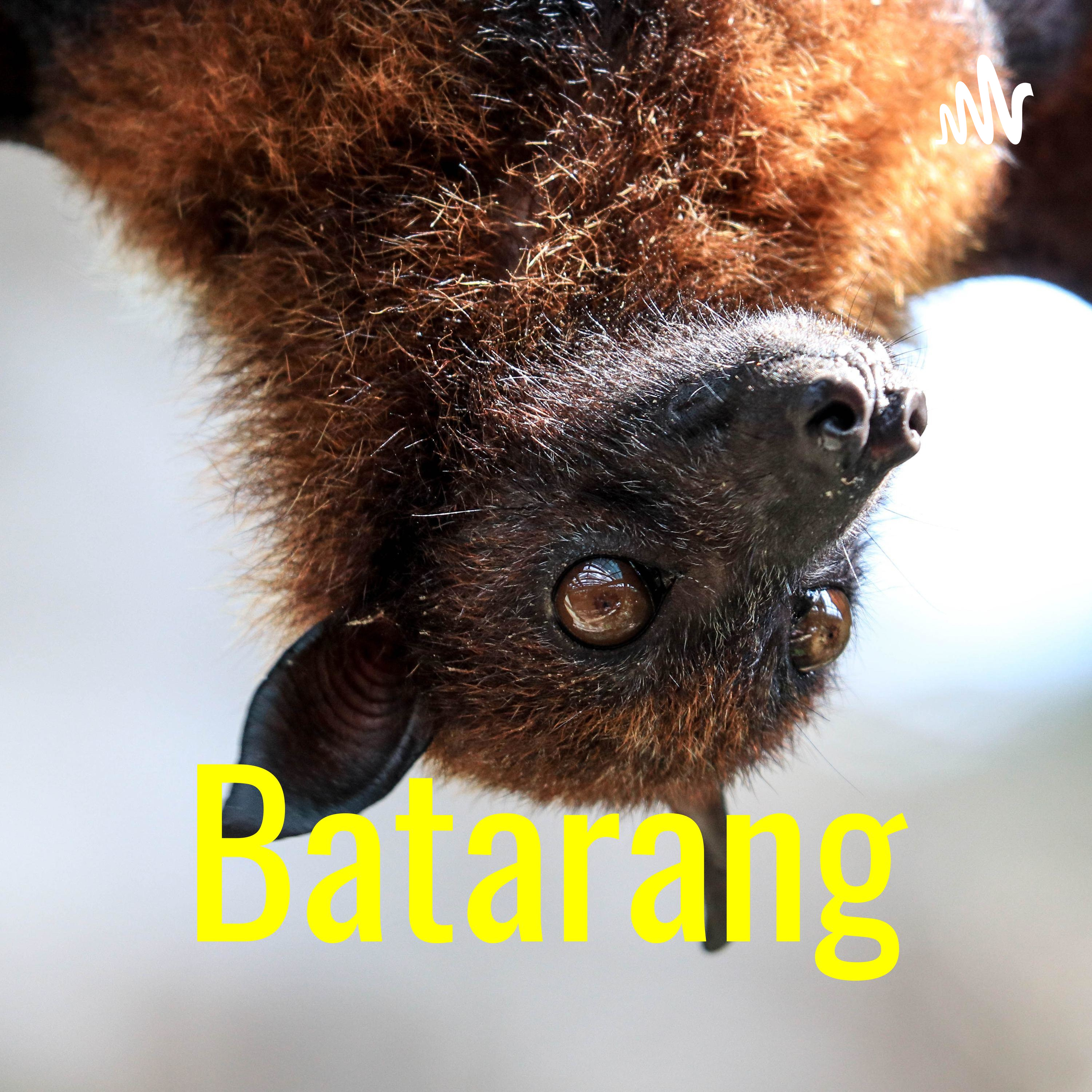 Batarang