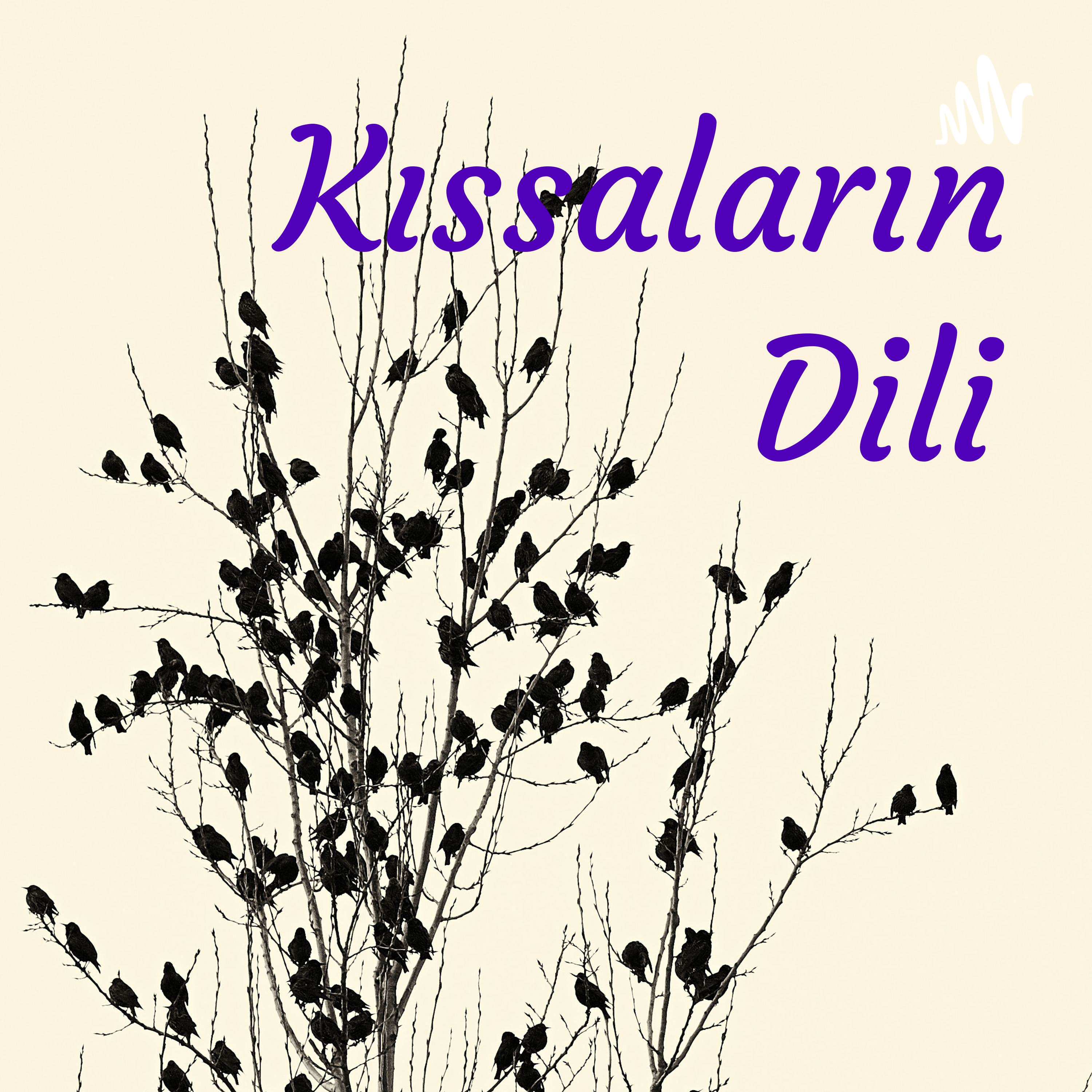 Kıssaların Dili podcast artwork