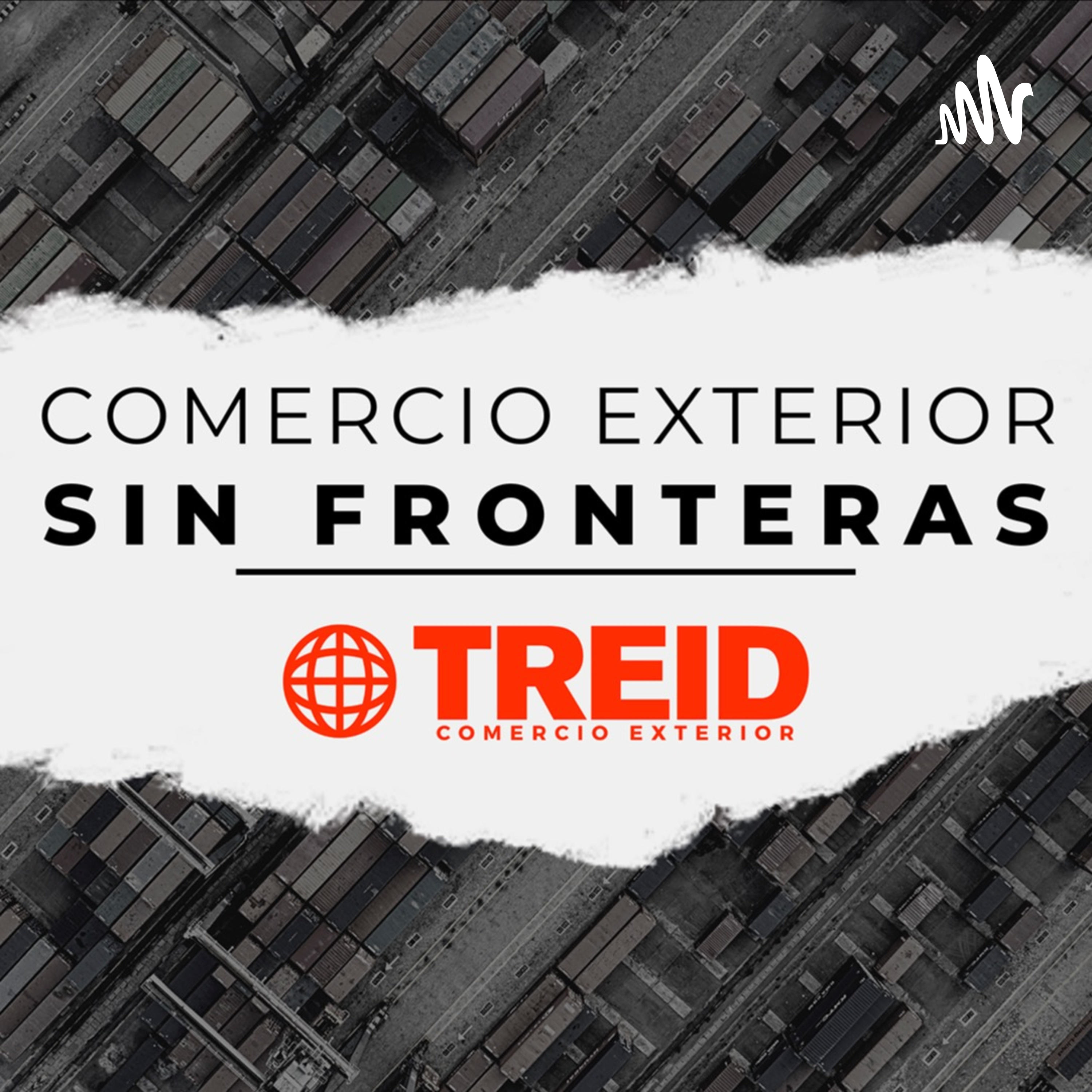 Treid Comercio Exterior
