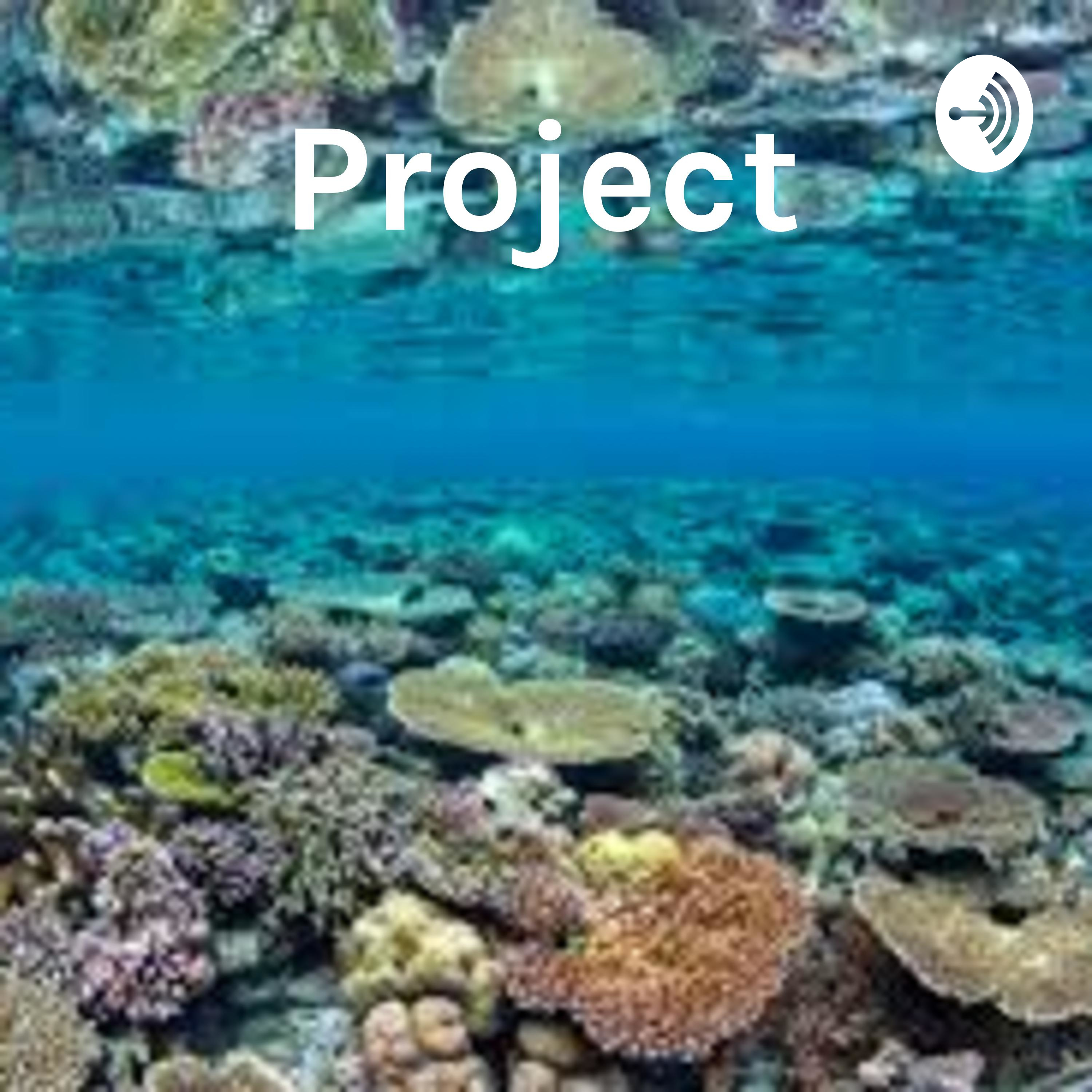 Project: Ocean talk