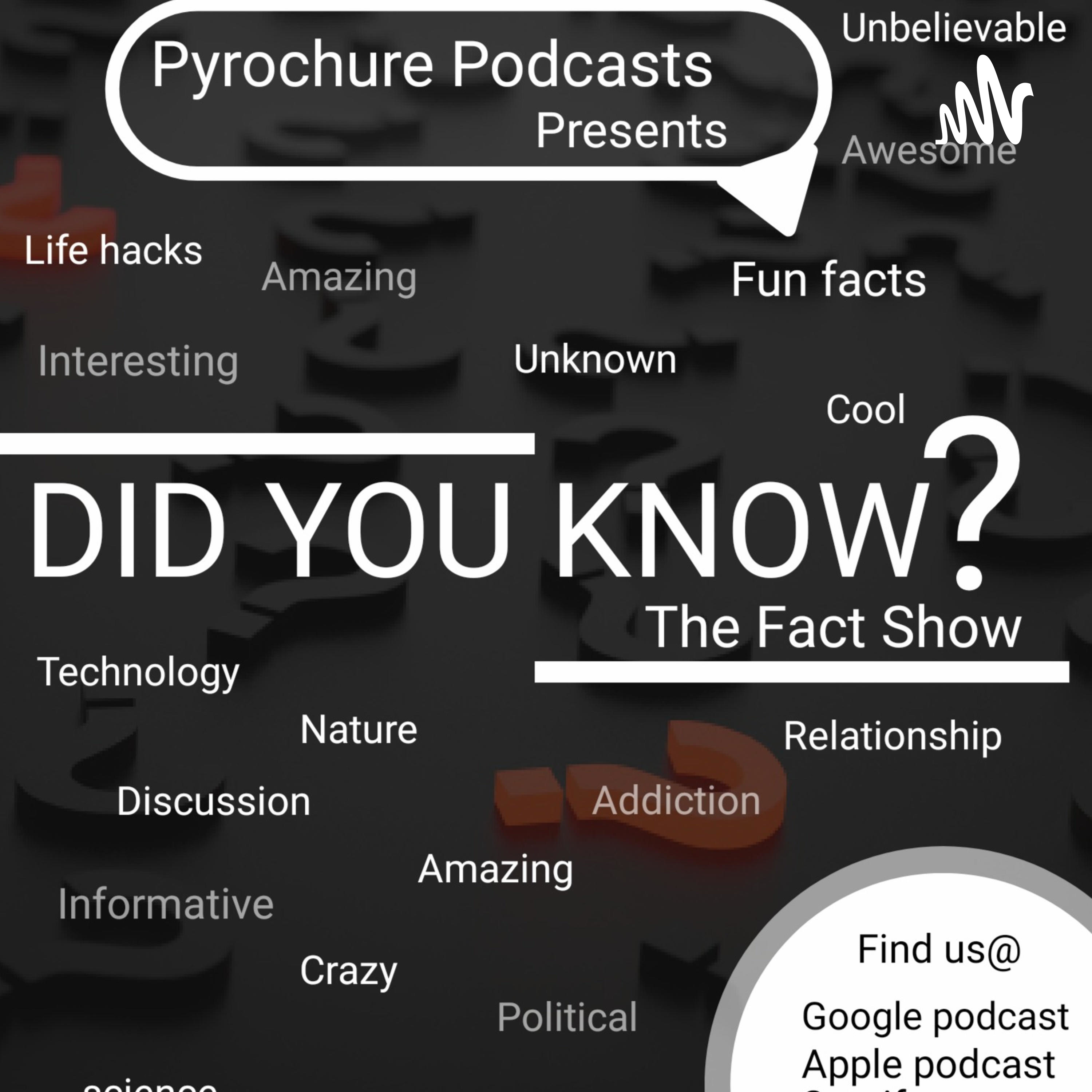 PYROCHURE \'s Did You Know