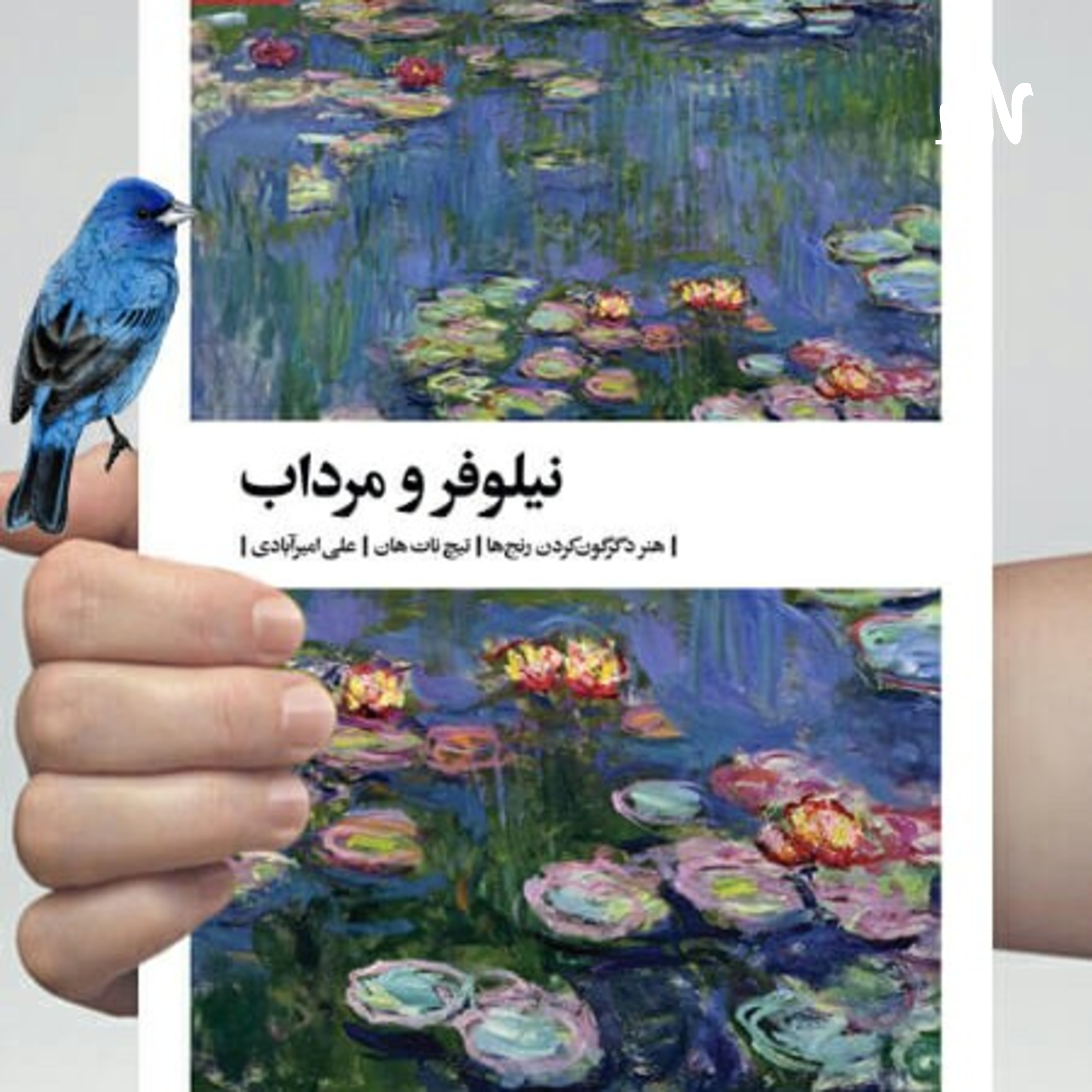 کاور کتاب نیلوفر و مرداب، با صدای صدف، فصل چهارم