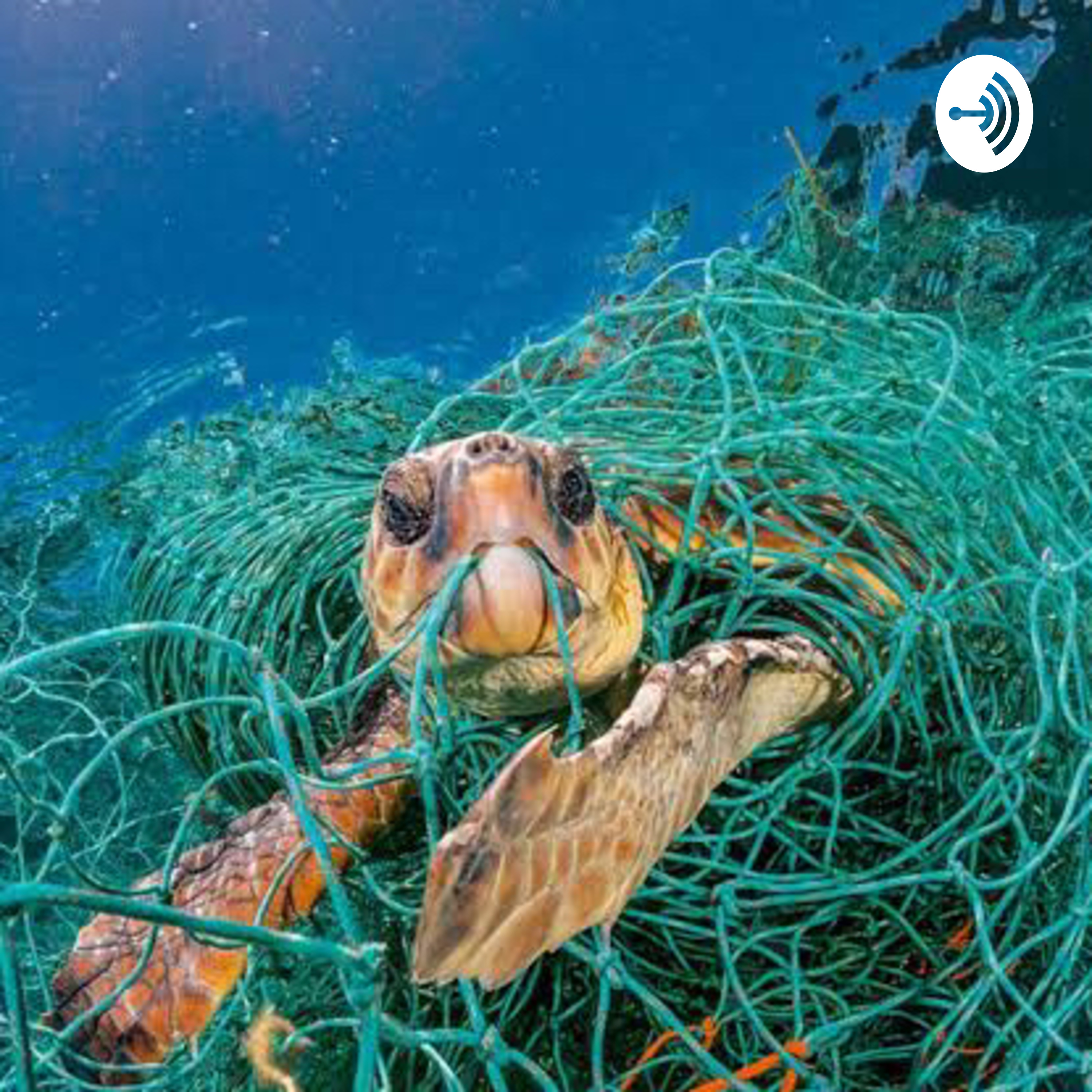 Why we should stop polluting our oceans