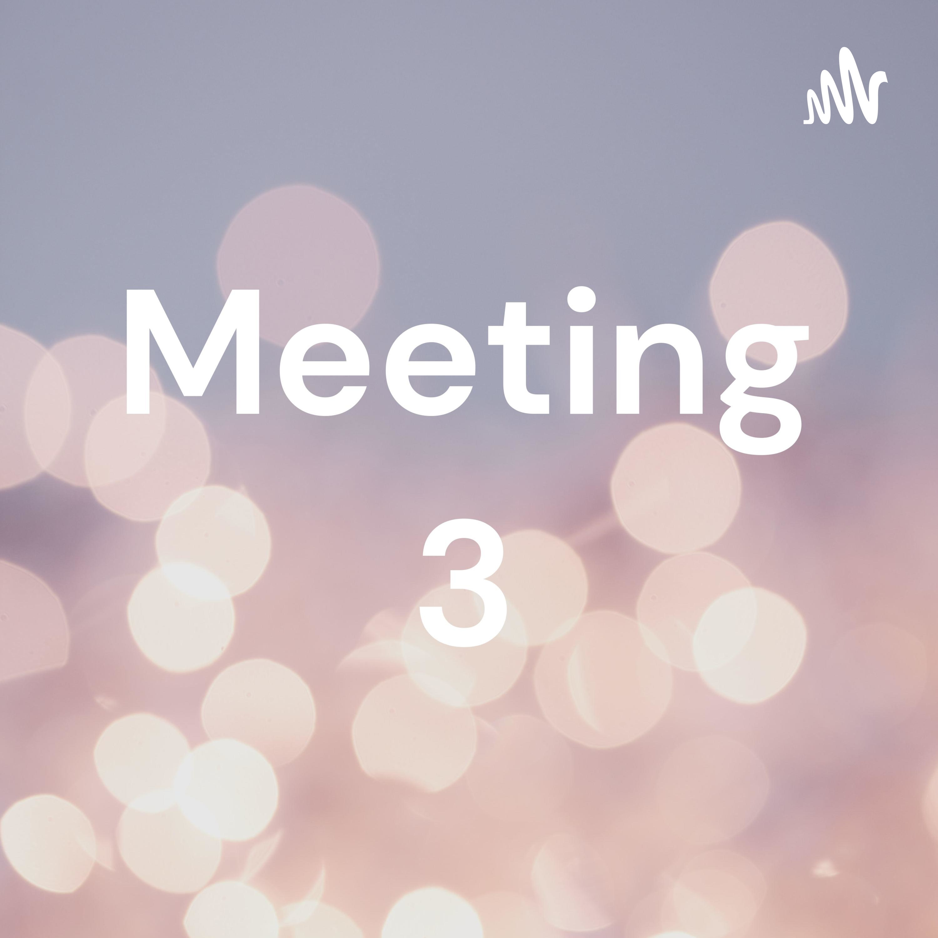 Meeting 3 podcast artwork