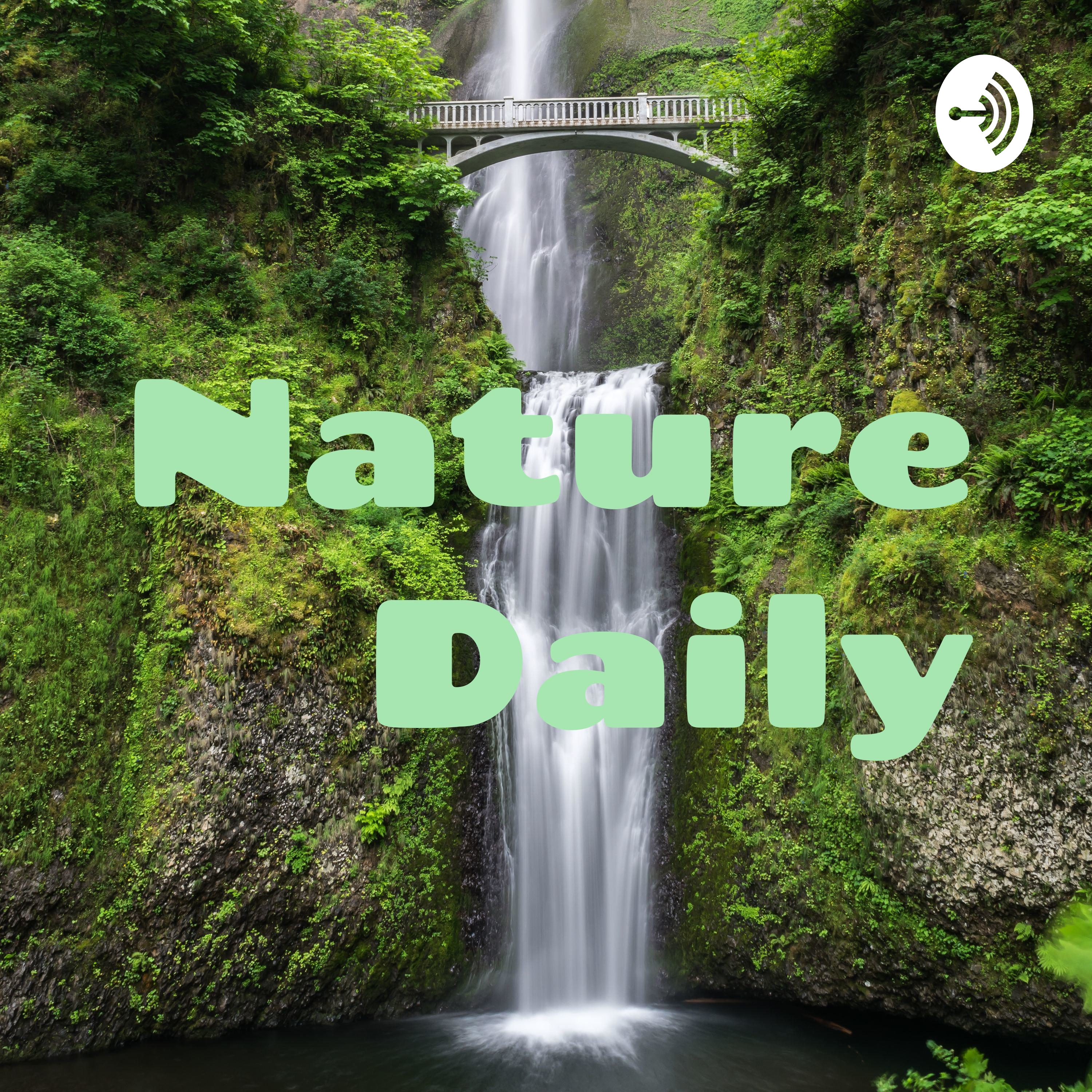 Nature Daily