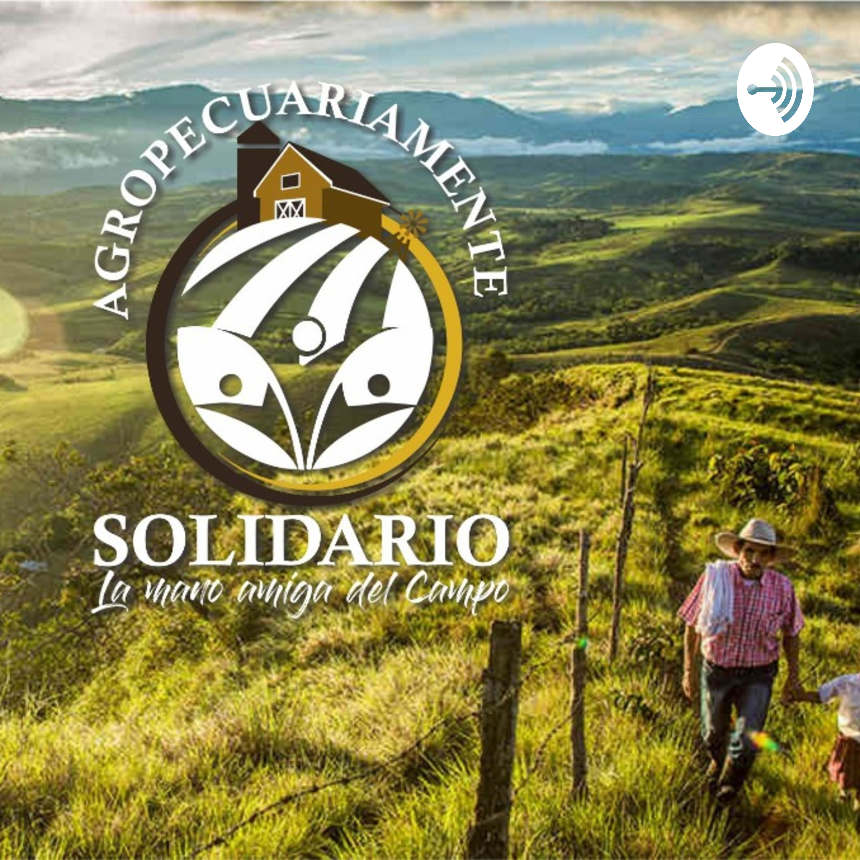 Agropecuarimente Solidario podcast artwork